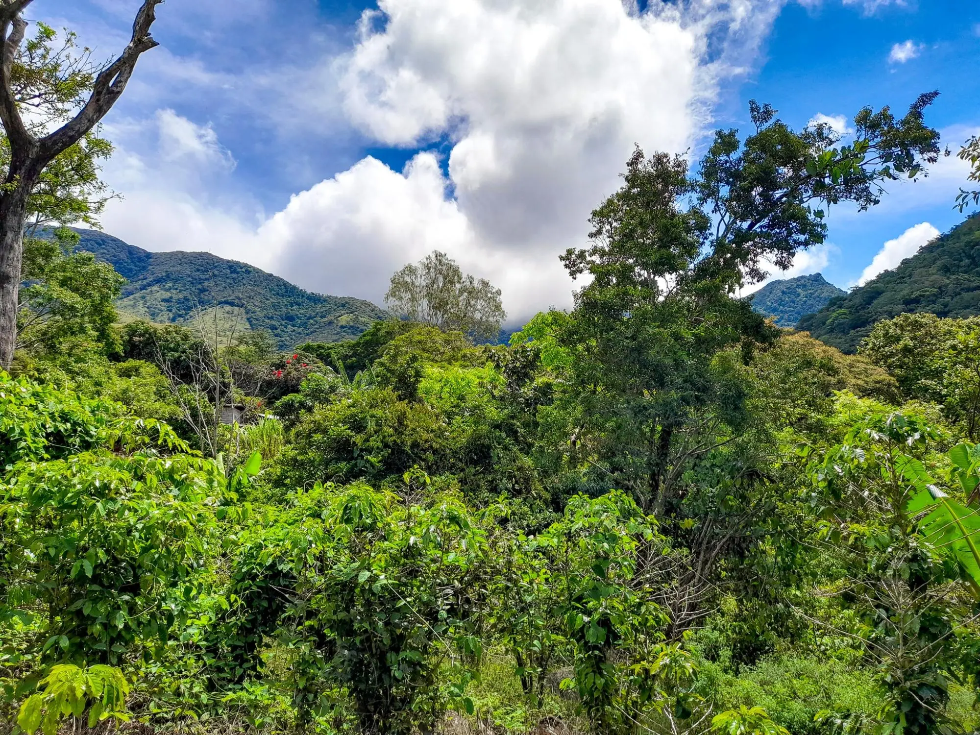 Caldera, Boquete Chiriqui Panama - Photo 4