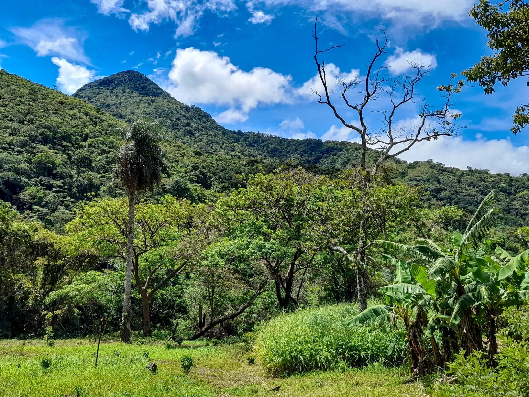 Caldera, Boquete Chiriqui Panama - Photo 20