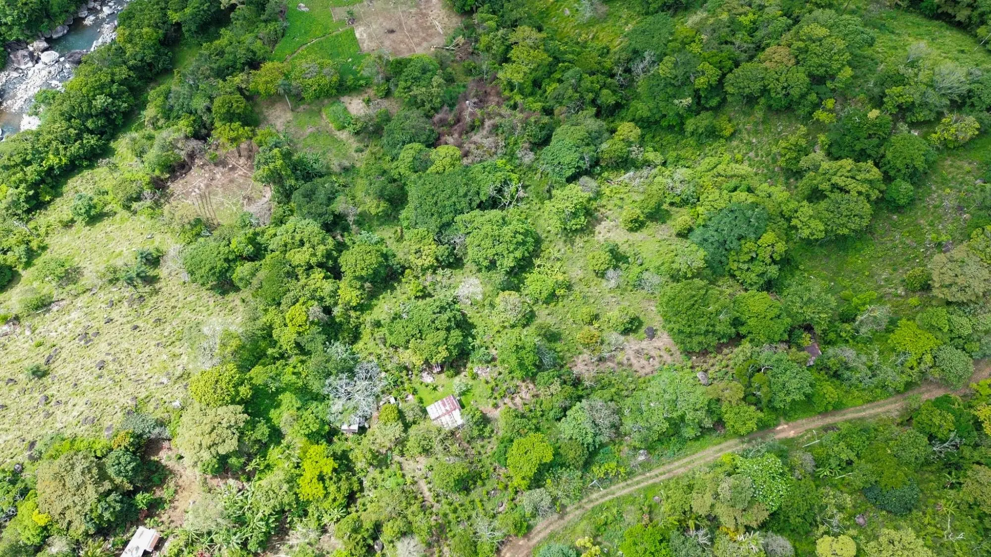 Caldera, Boquete Chiriqui Panama - Photo 47