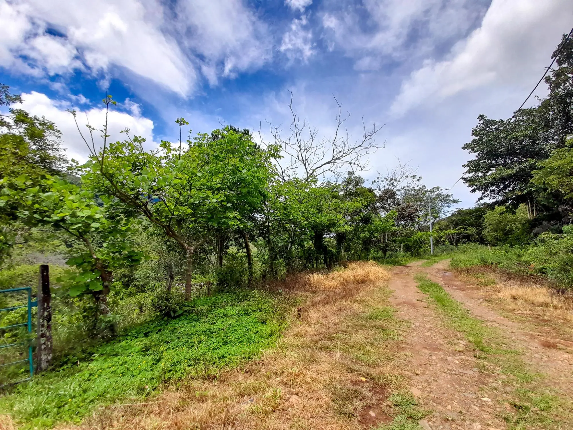 Caldera, Boquete Chiriqui Panama - Photo 42