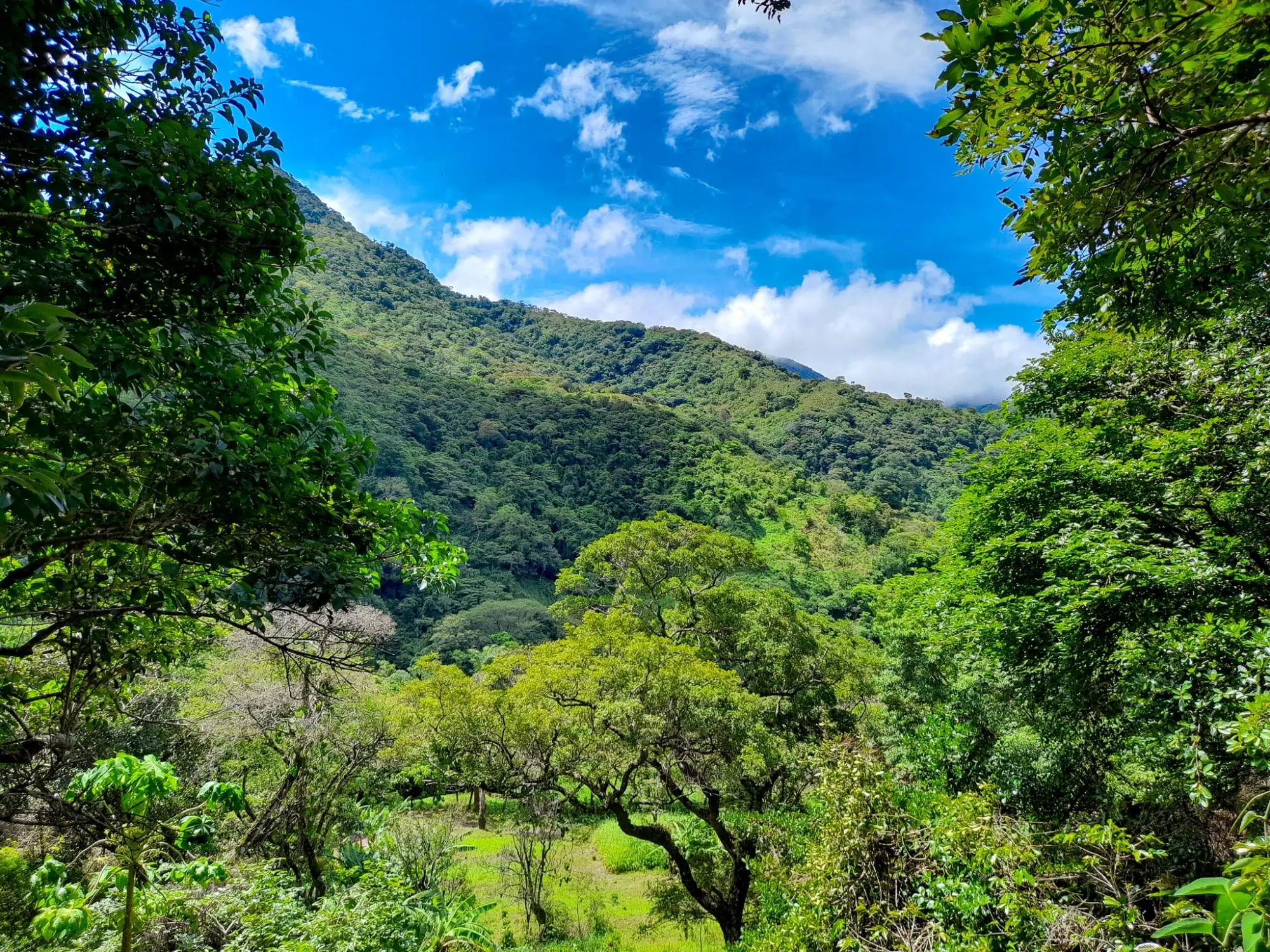 Caldera, Boquete Chiriqui Panama - Photo 2