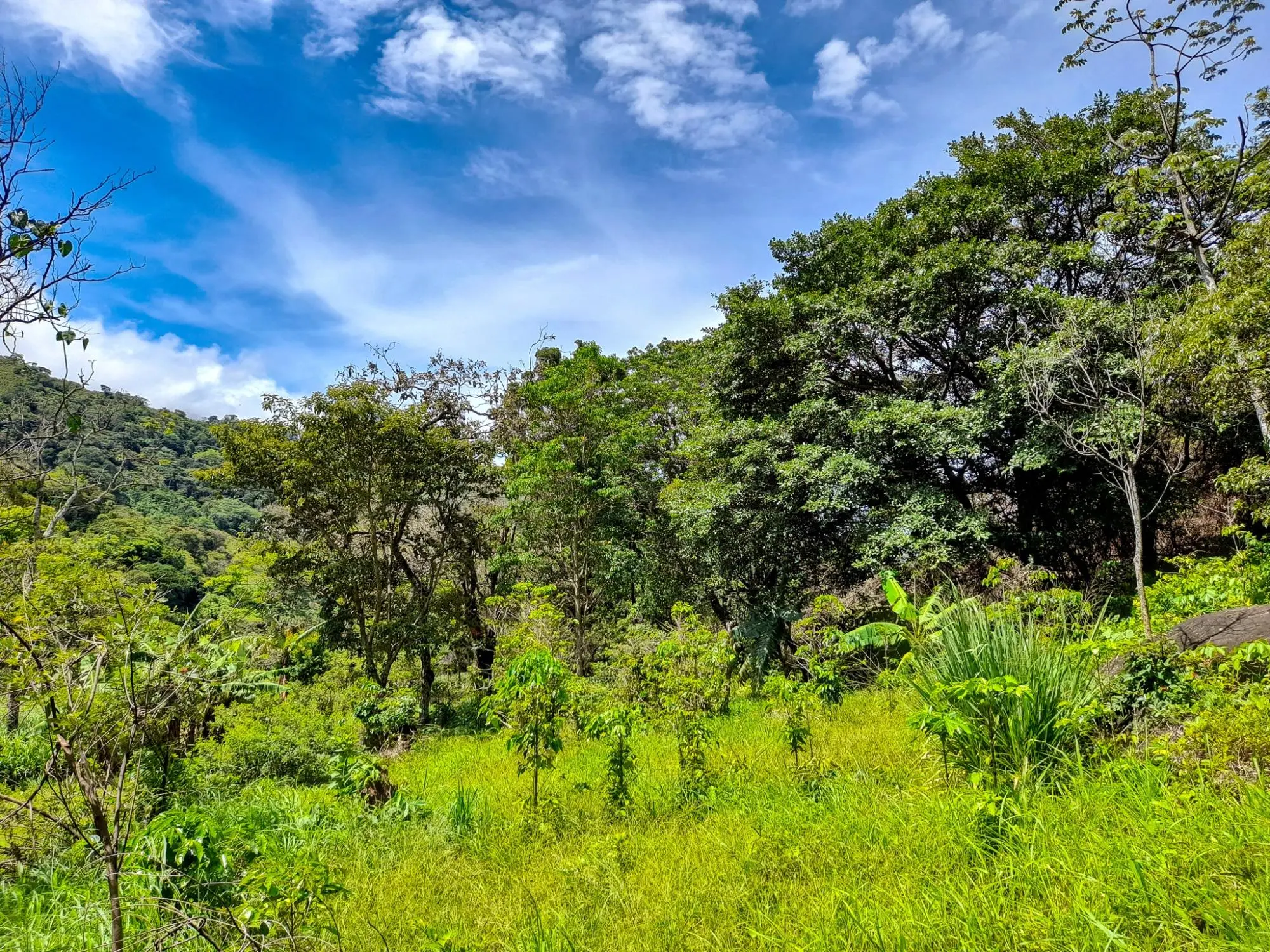 Caldera, Boquete Chiriqui Panama - Photo 17