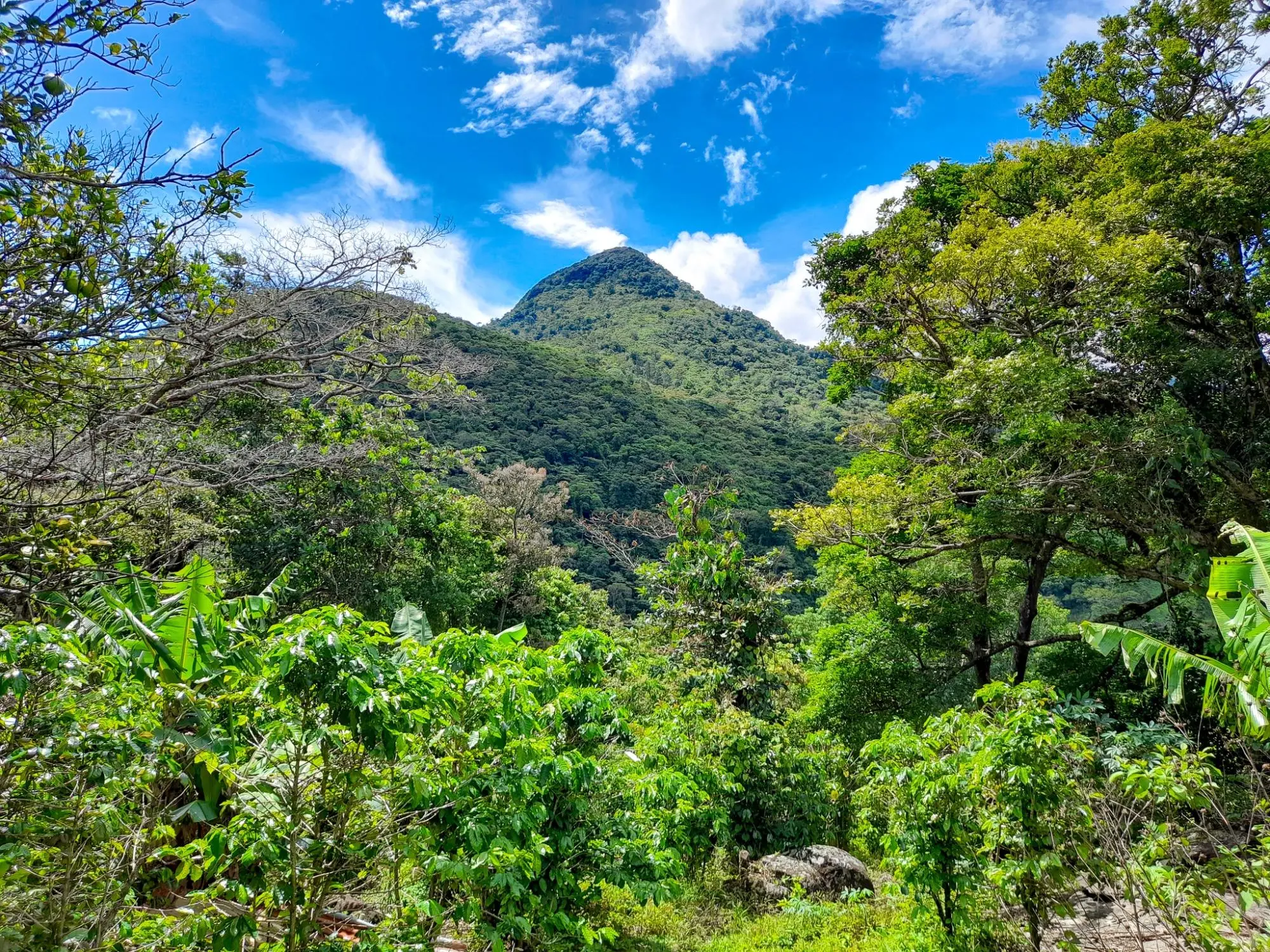 Caldera, Boquete Chiriqui Panama - Photo 6