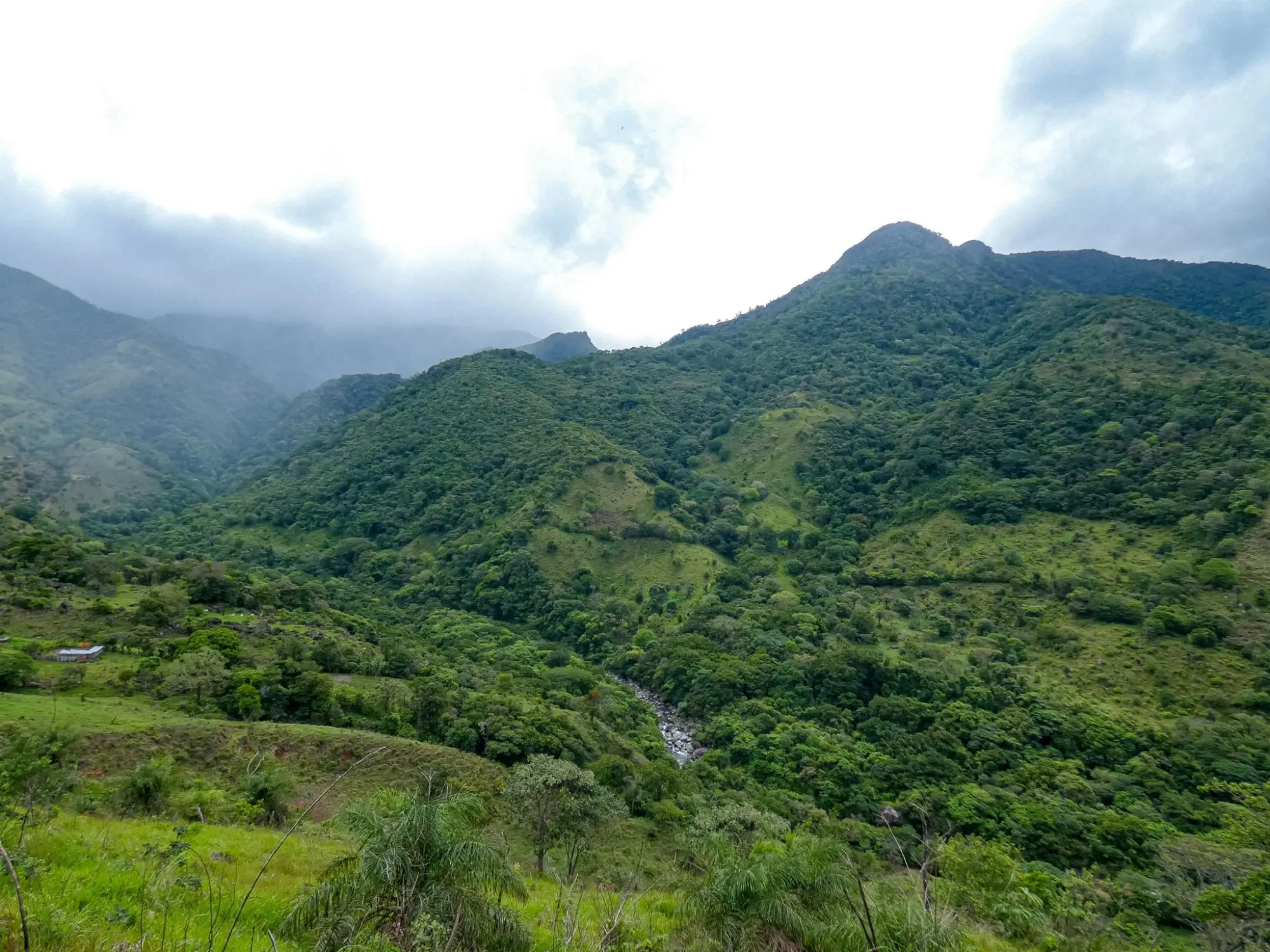 Caldera, Boquete Chiriqui Panama - Photo 60