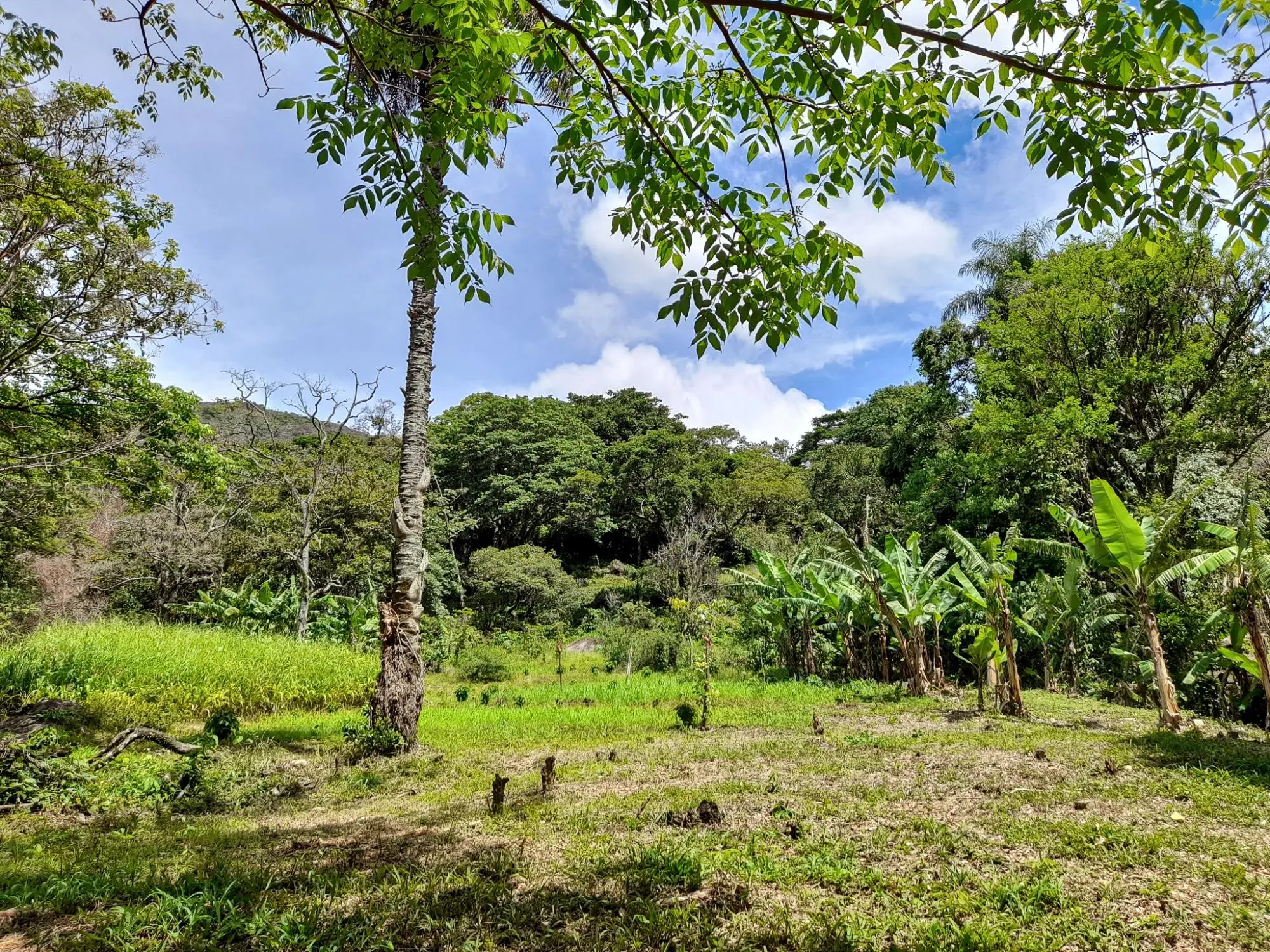 Caldera, Boquete Chiriqui Panama - Photo 25