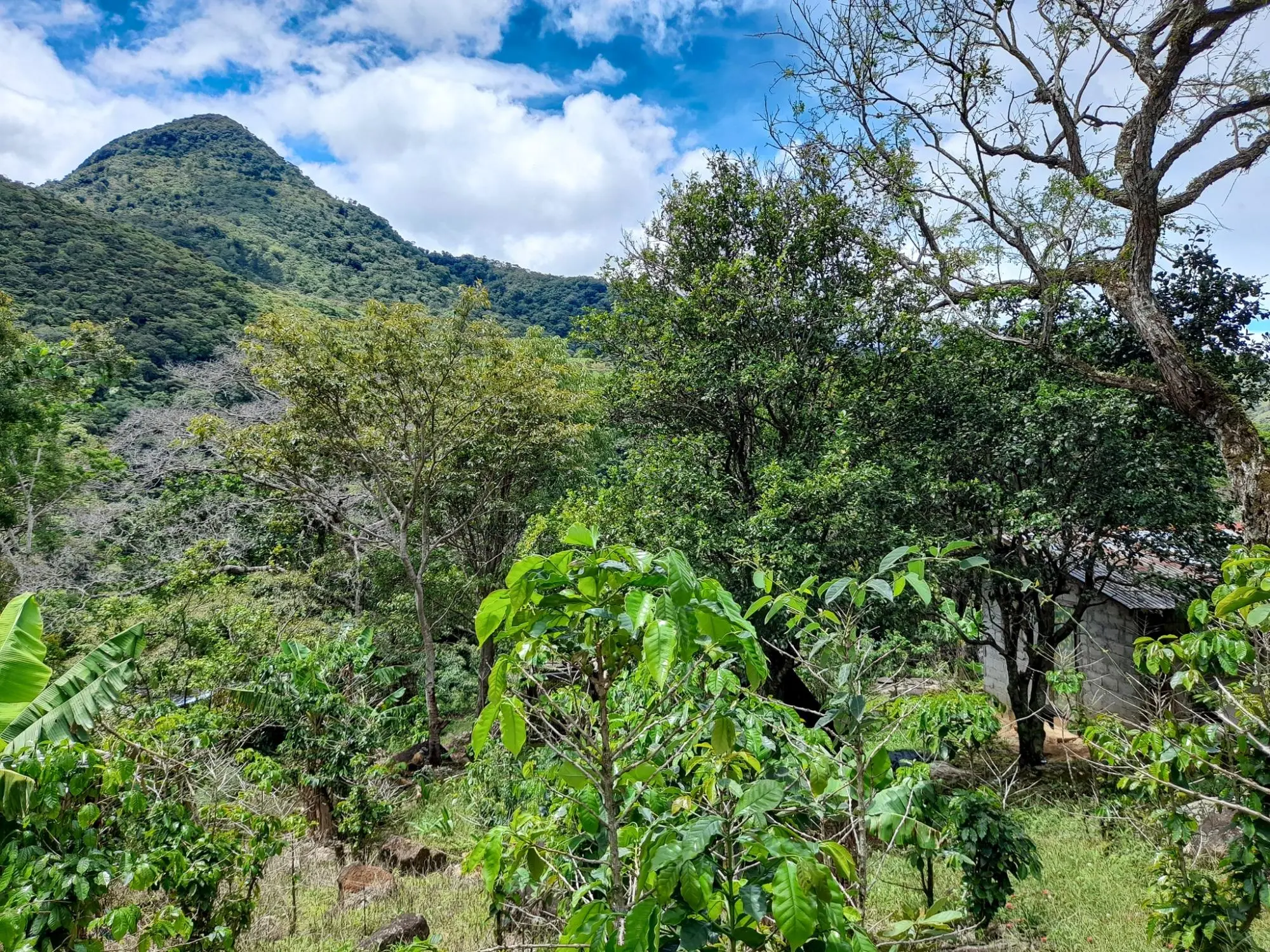 Caldera, Boquete Chiriqui Panama - Photo 36