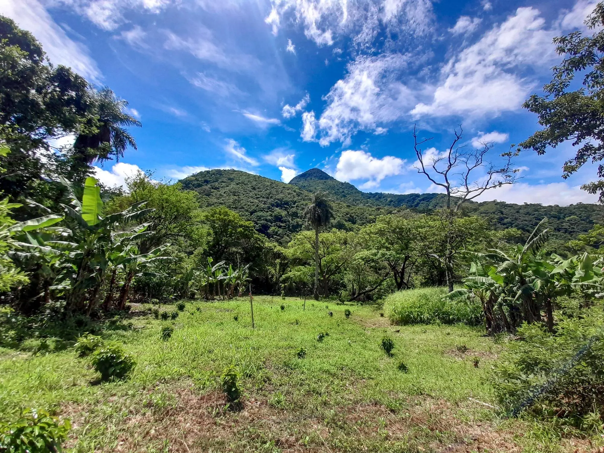 Caldera, Boquete Chiriqui Panama - Photo 21
