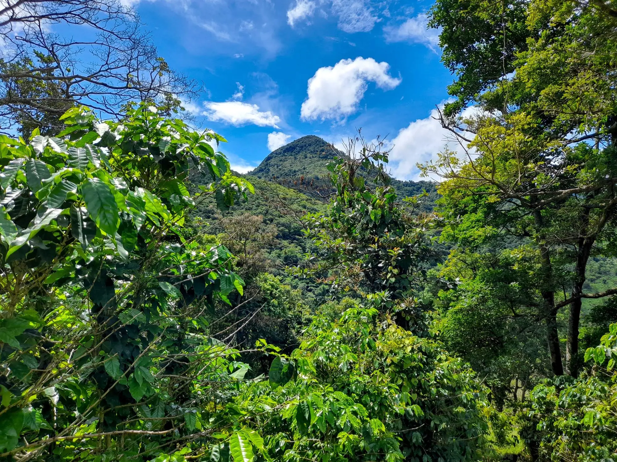Caldera, Boquete Chiriqui Panama - Photo 14
