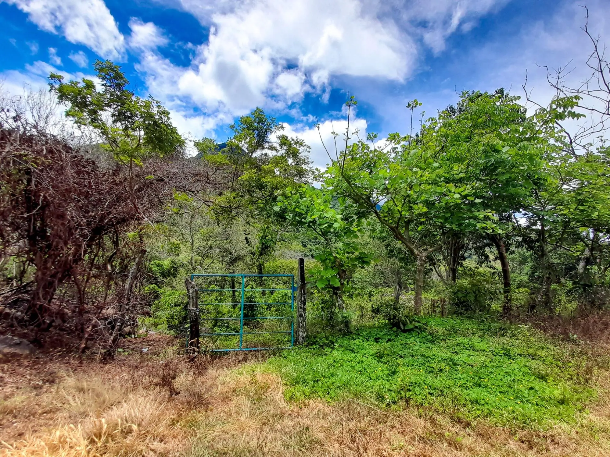 Caldera, Boquete Chiriqui Panama - Photo 41