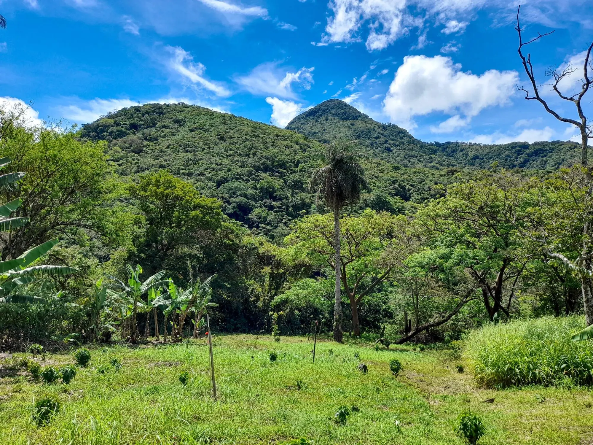 Caldera, Boquete Chiriqui Panama - Photo 22