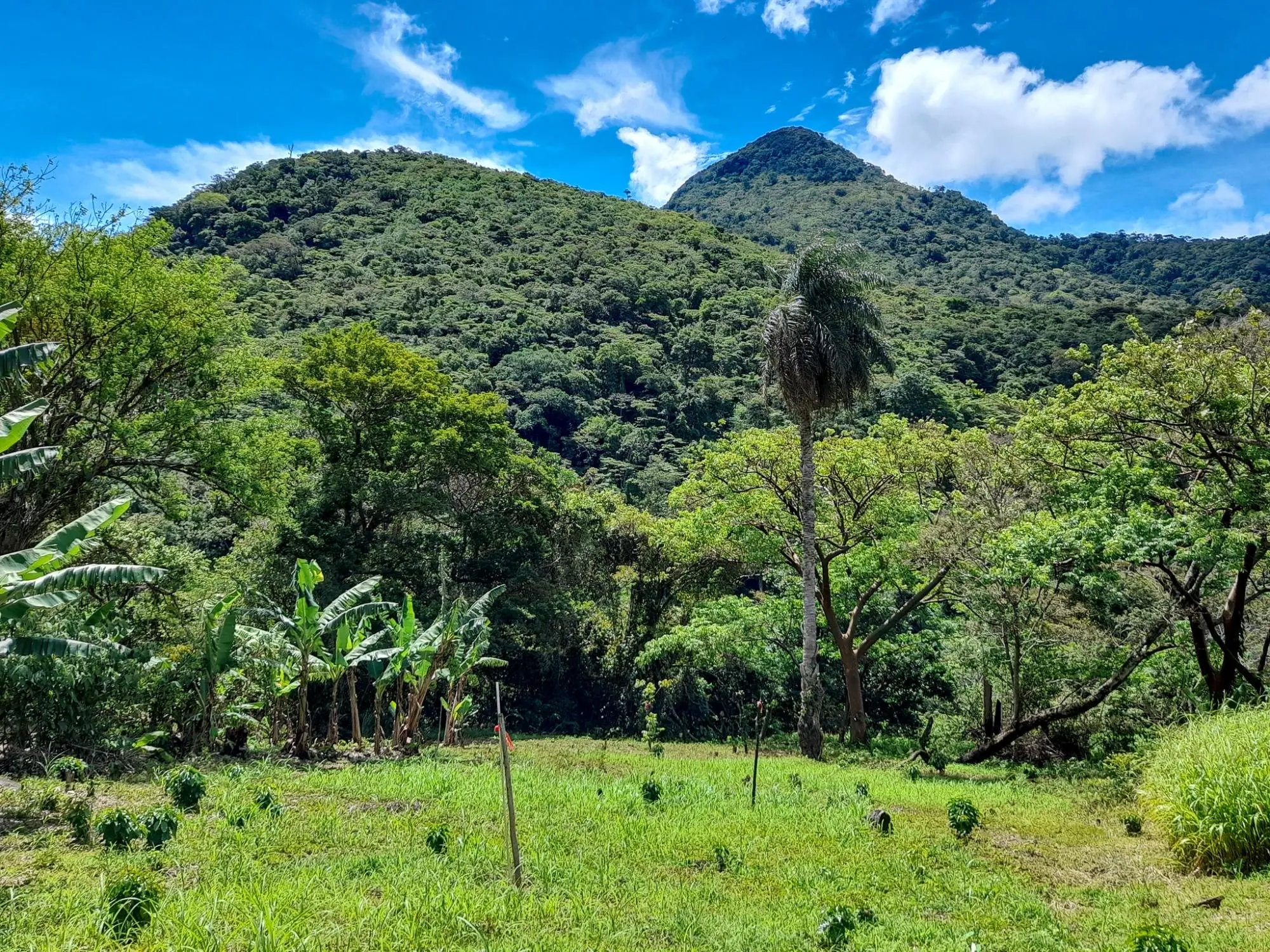 Caldera, Boquete Chiriqui Panama - Photo 19