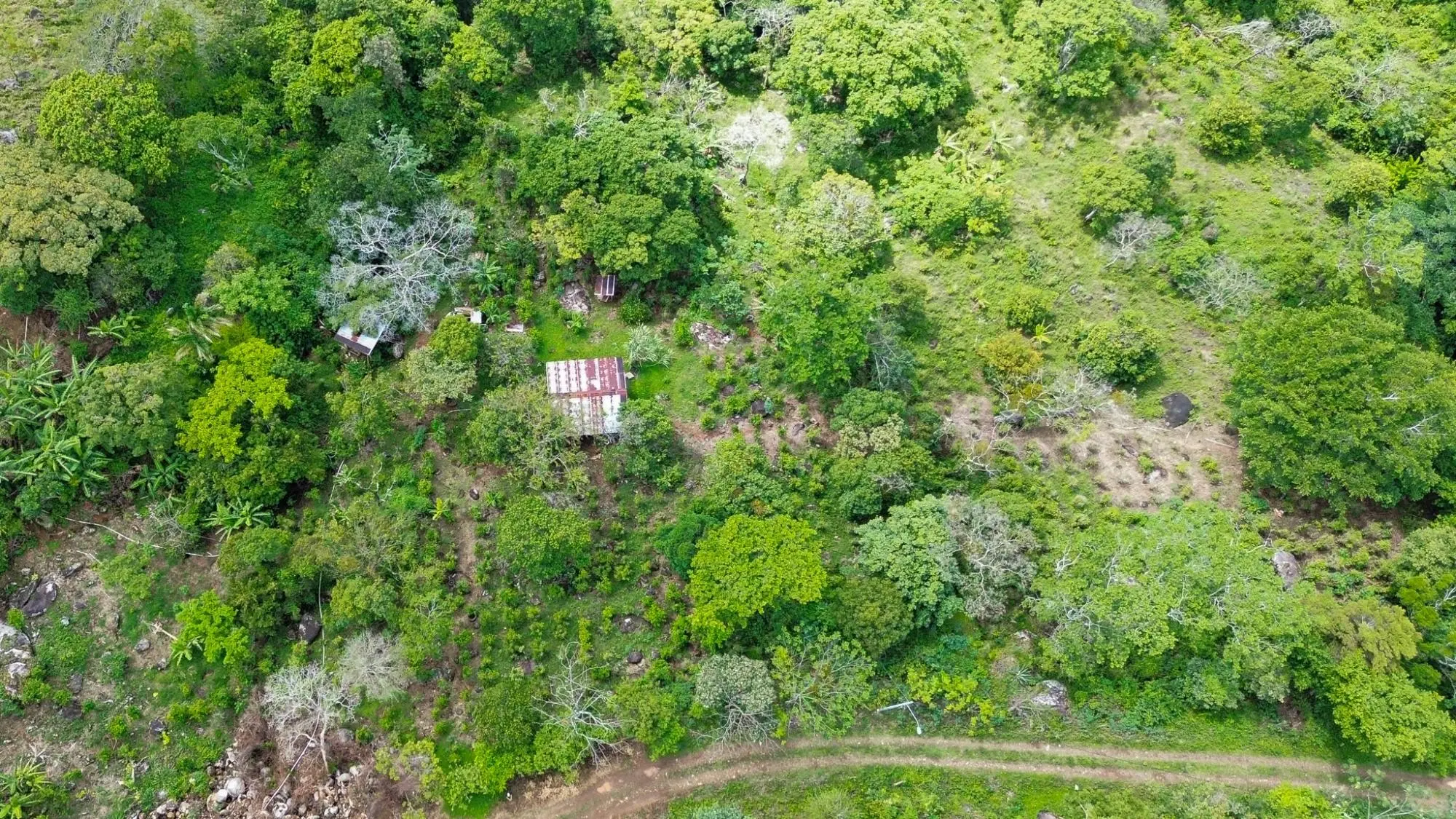 Caldera, Boquete Chiriqui Panama - Photo 45