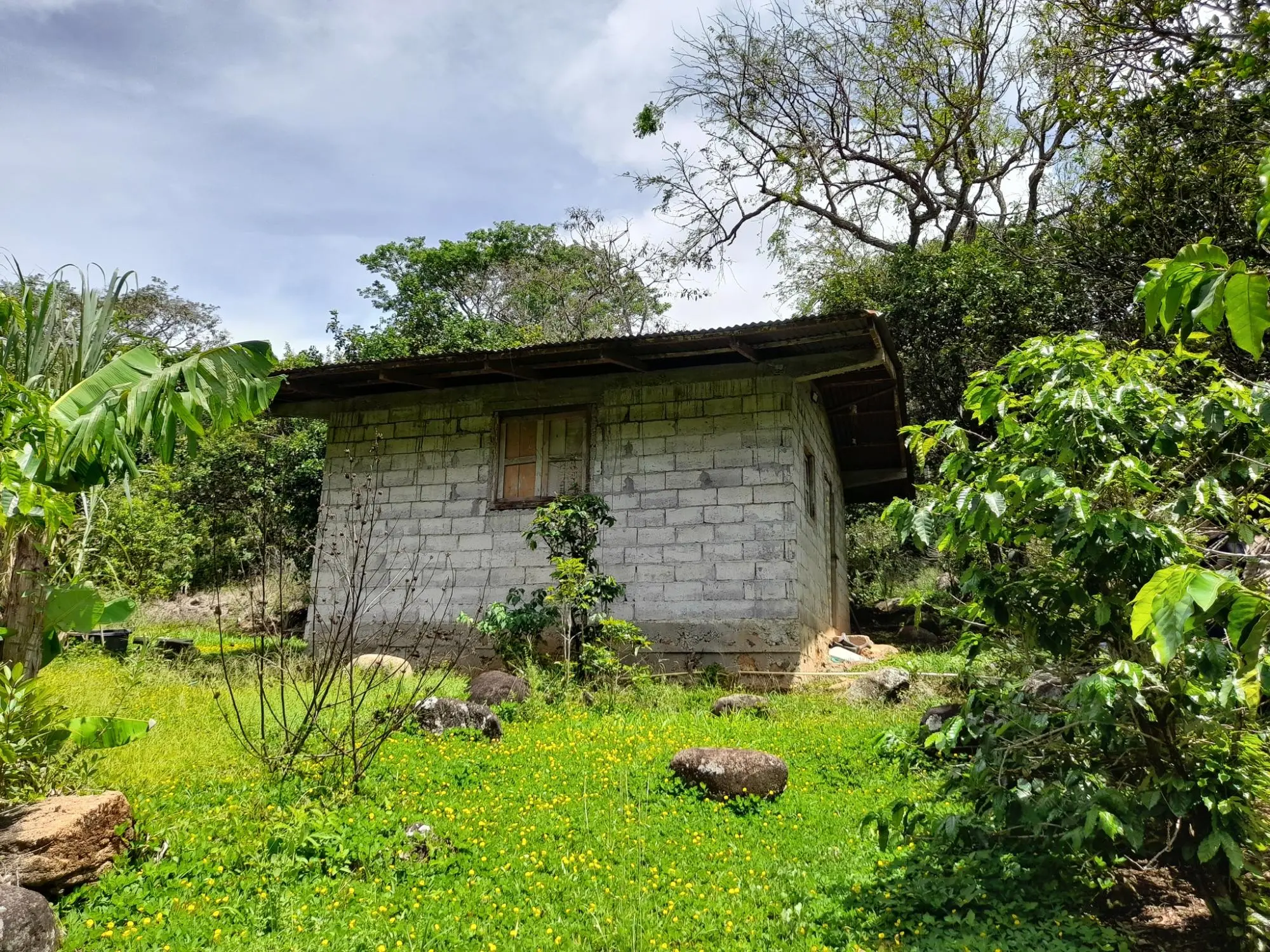 Caldera, Boquete Chiriqui Panama - Photo 32