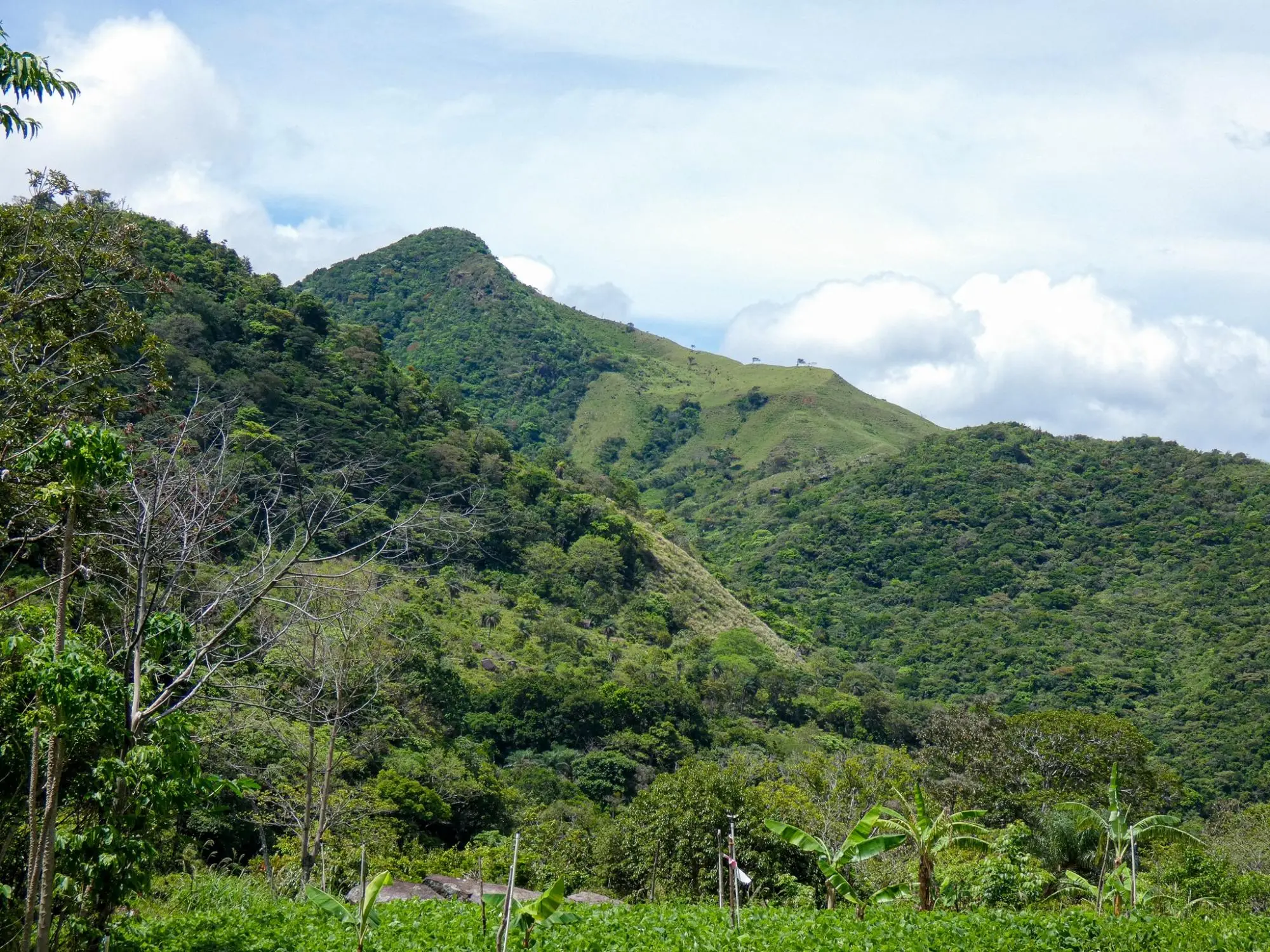 Caldera, Boquete Chiriqui Panama - Photo 66