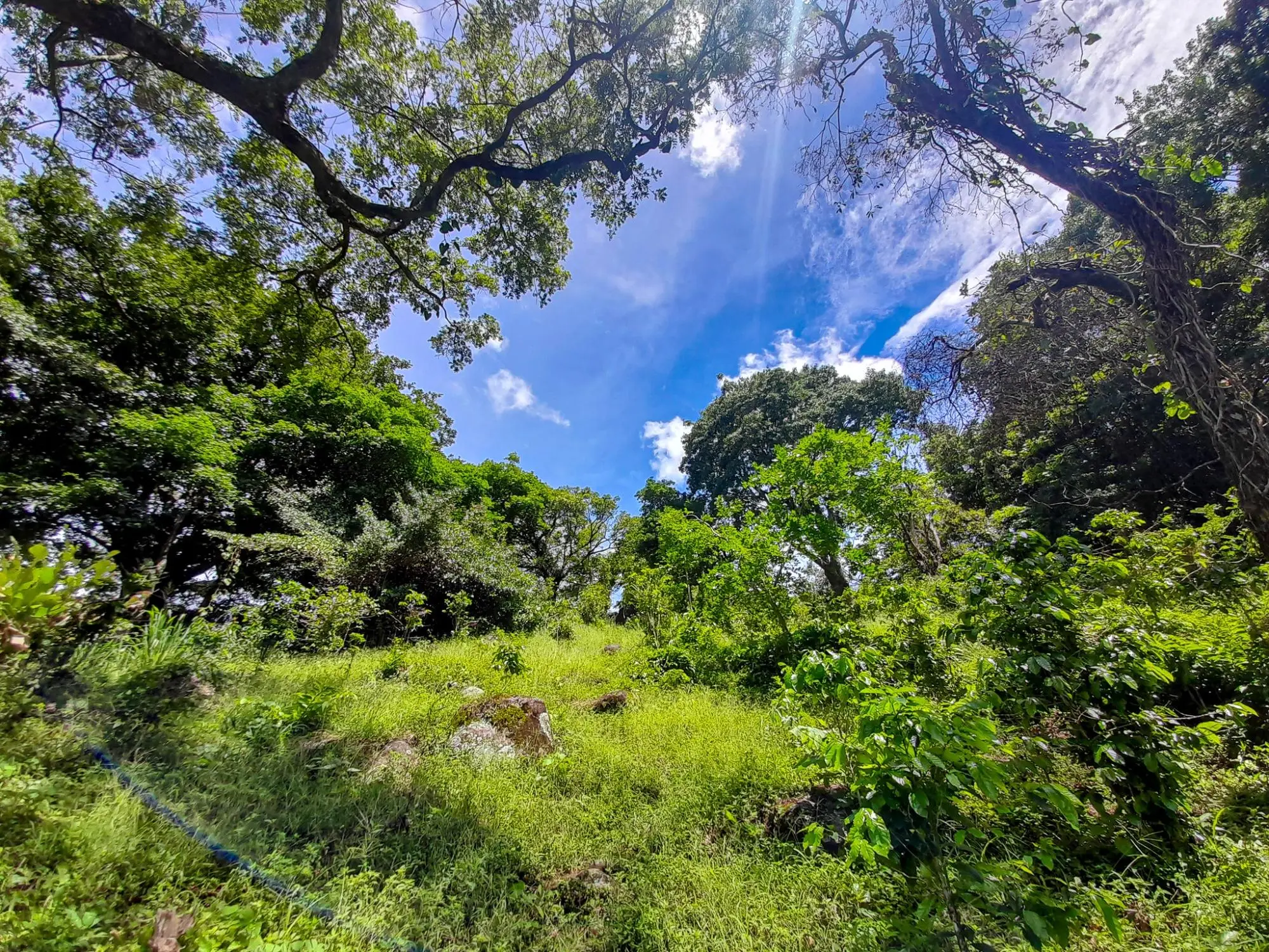 Caldera, Boquete Chiriqui Panama - Photo 16