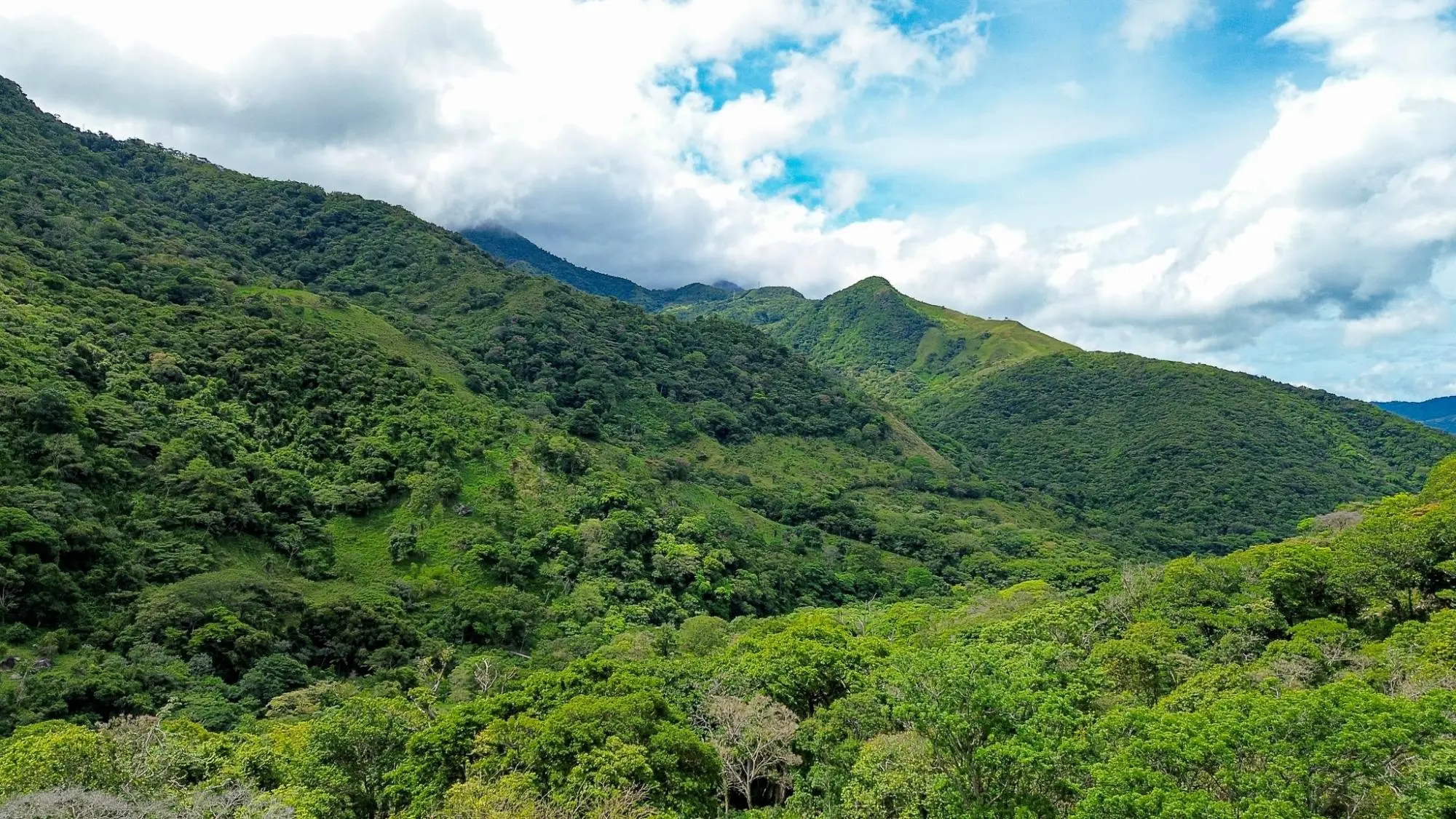 Caldera, Boquete Chiriqui Panama - Photo 54