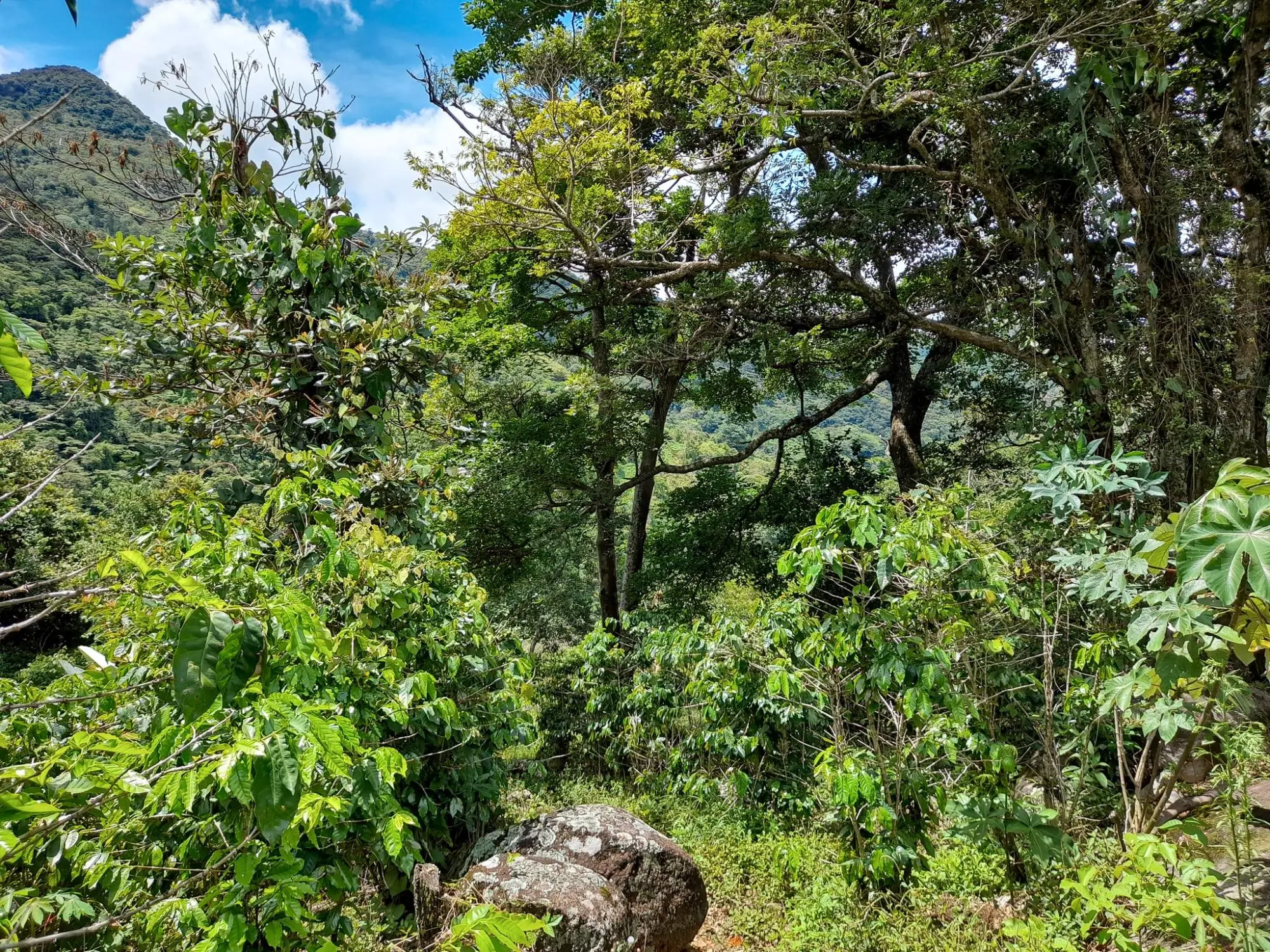 Caldera, Boquete Chiriqui Panama - Photo 33