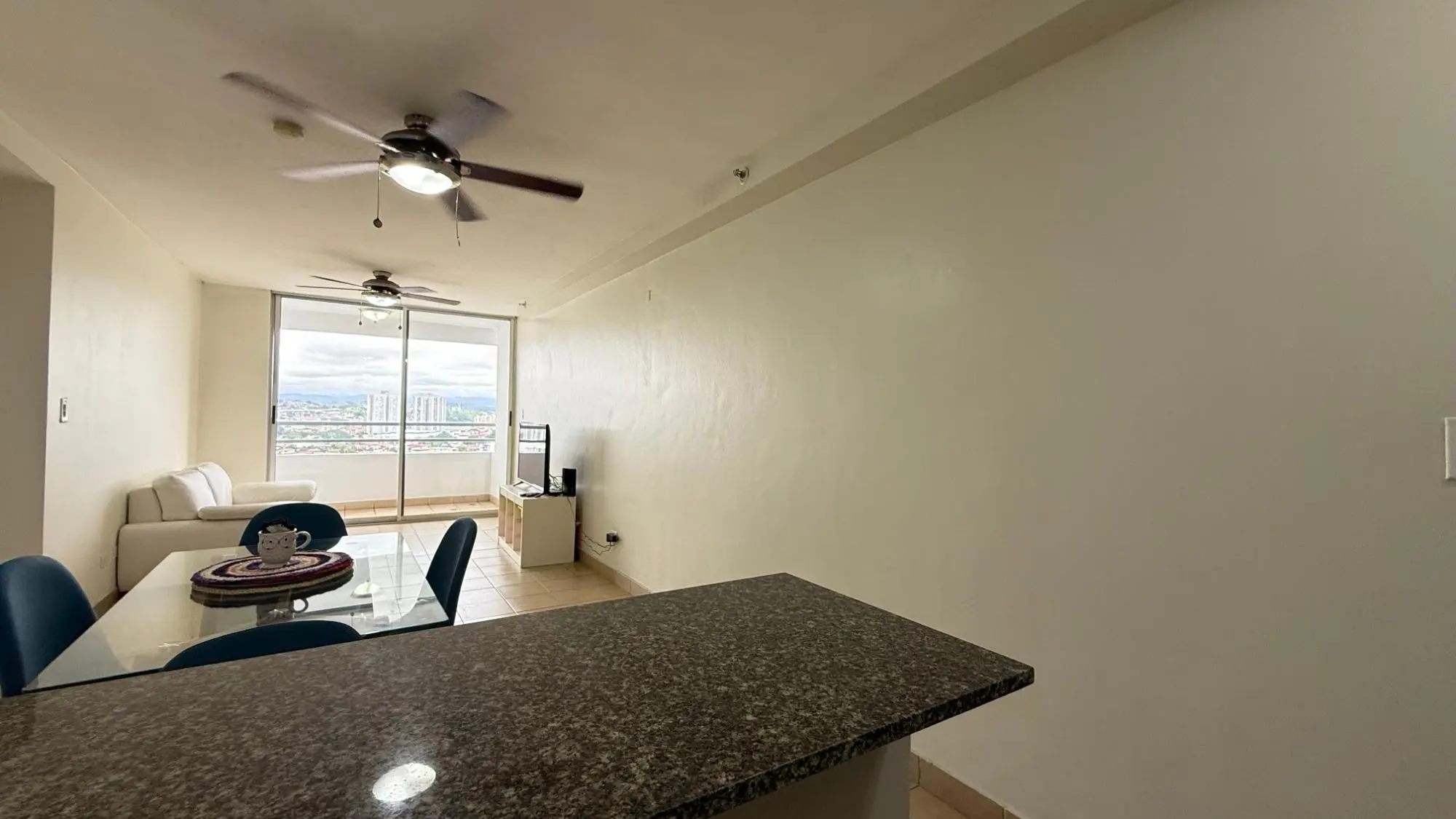 21a Av. Ernesto T. Lefevre #21a - Photo 4