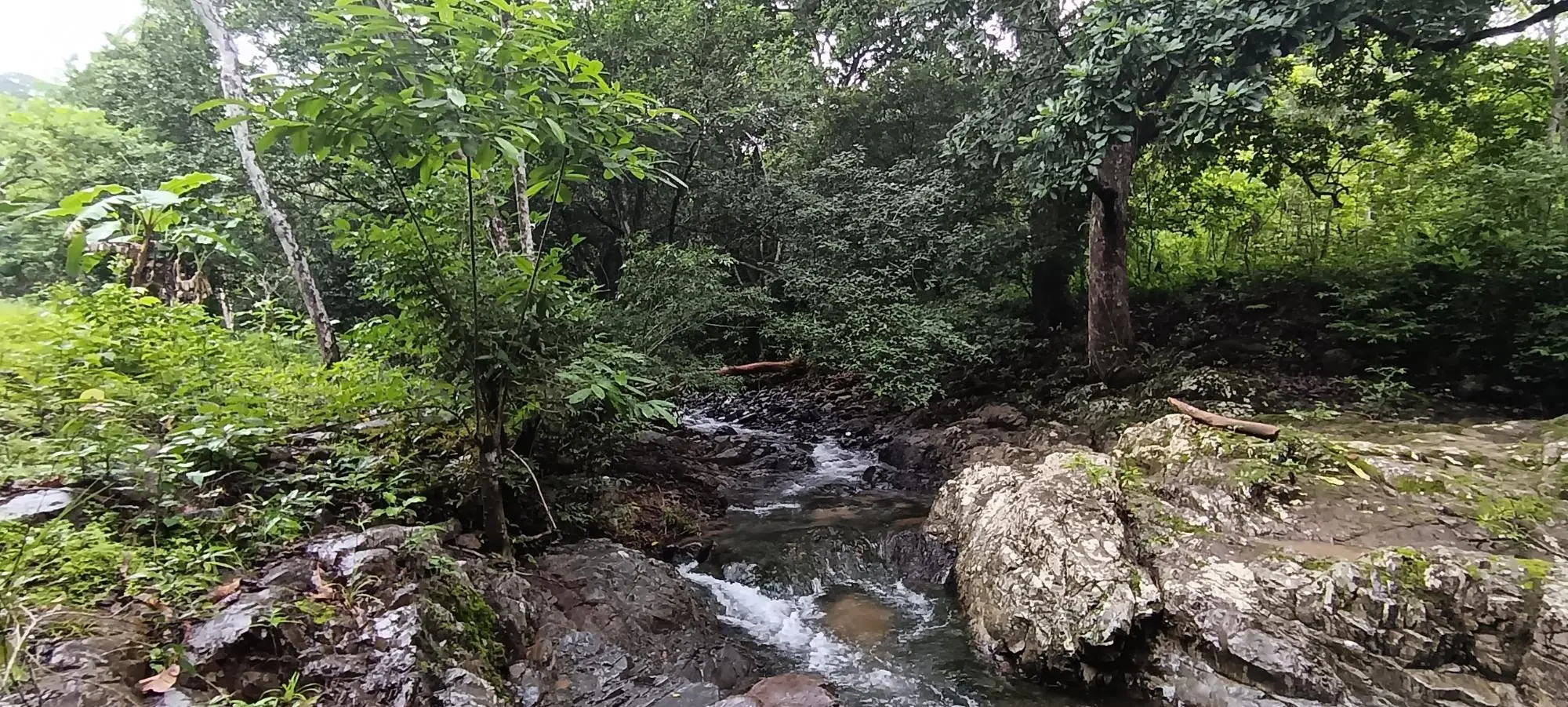Quebrada Grande, Las Tablas - Photo 8