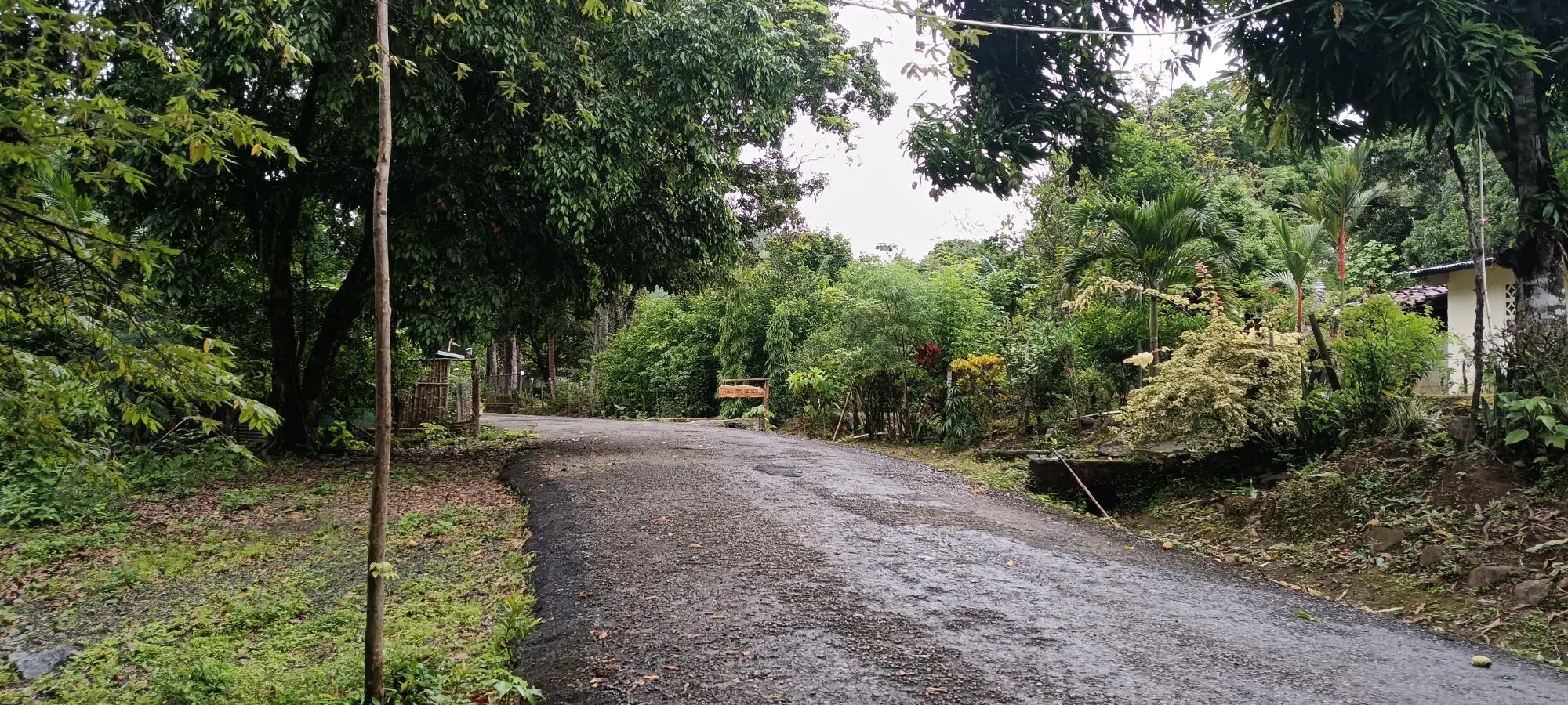 Quebrada Grande, Las Tablas - Photo 4