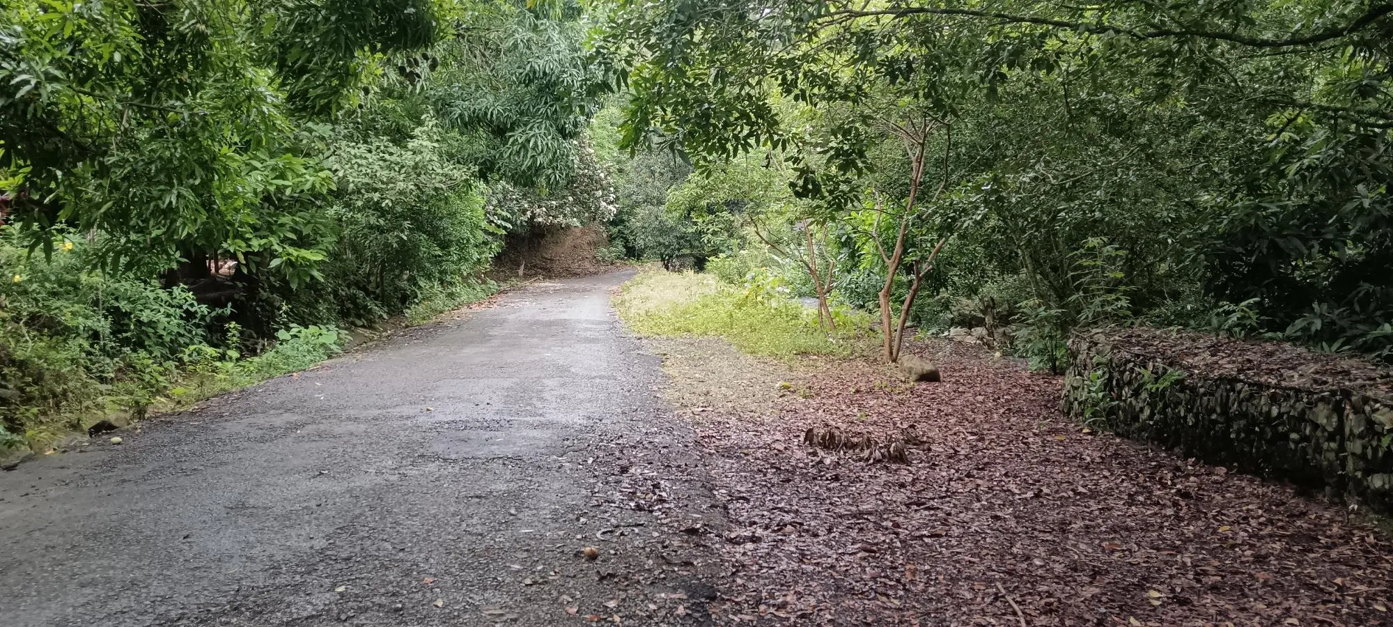 Quebrada Grande, Las Tablas - Photo 5