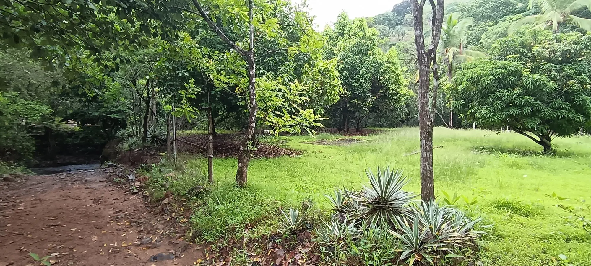 Quebrada Grande, Las Tablas - Photo 17