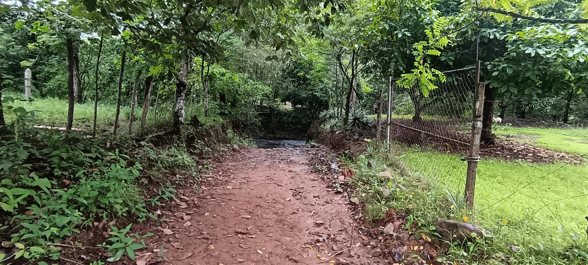 Quebrada Grande, Las Tablas - Photo 16