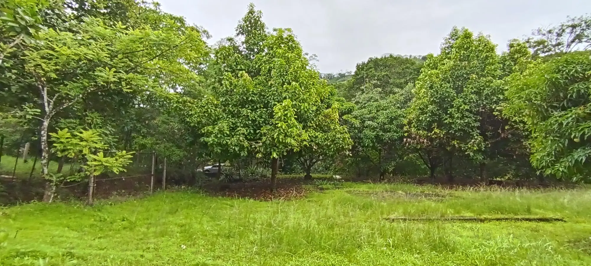 Quebrada Grande, Las Tablas - Photo 11