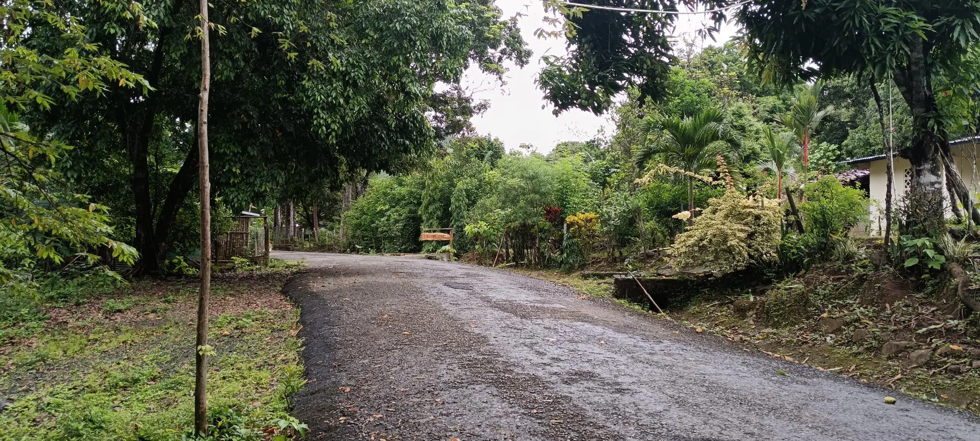 Quebrada Grande, Las Tablas - Photo 3