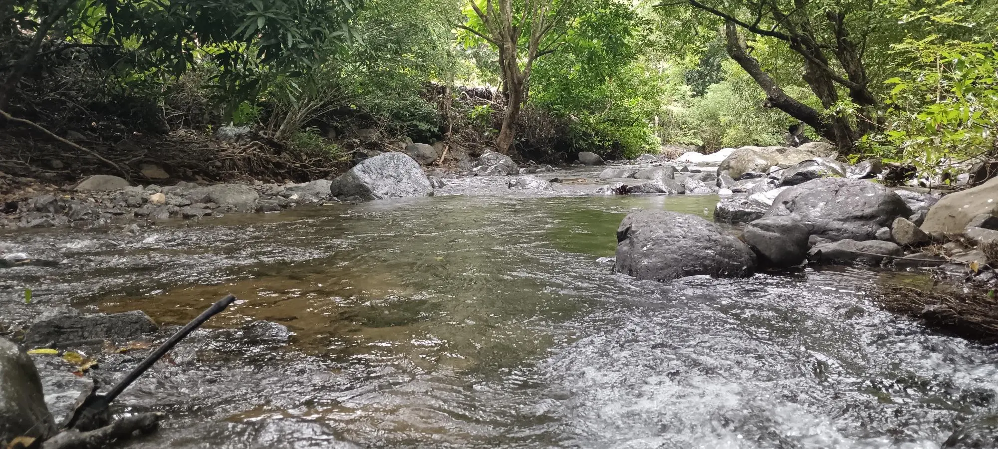 Quebrada Grande, Las Tablas - Photo 13