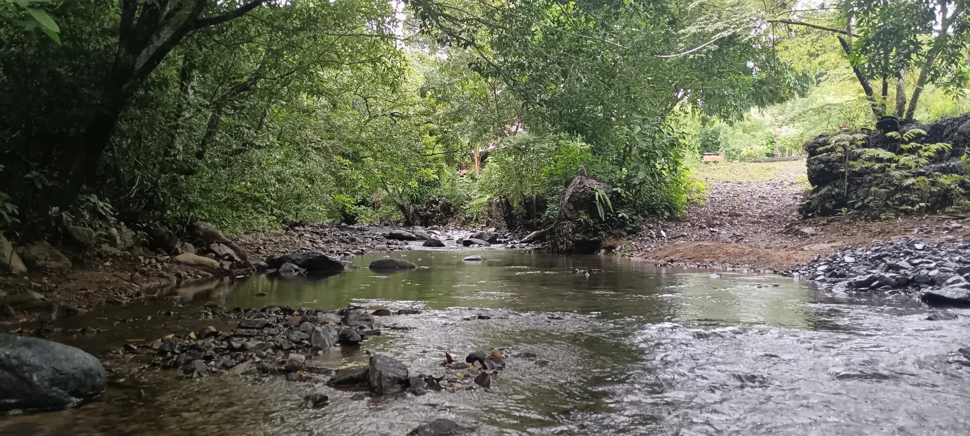 Quebrada Grande, Las Tablas - Photo 14