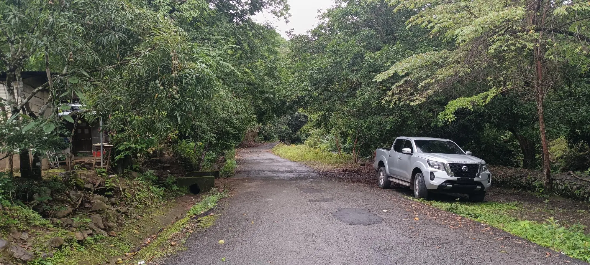 Quebrada Grande, Las Tablas - Photo 15