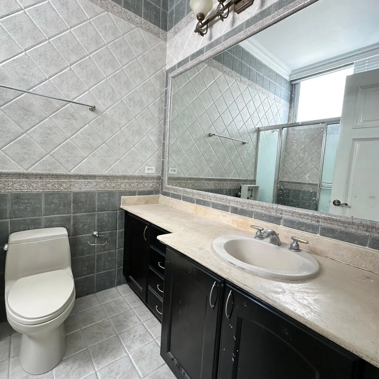 Ph Peninsula, Punta Paitilla #b - Photo 12