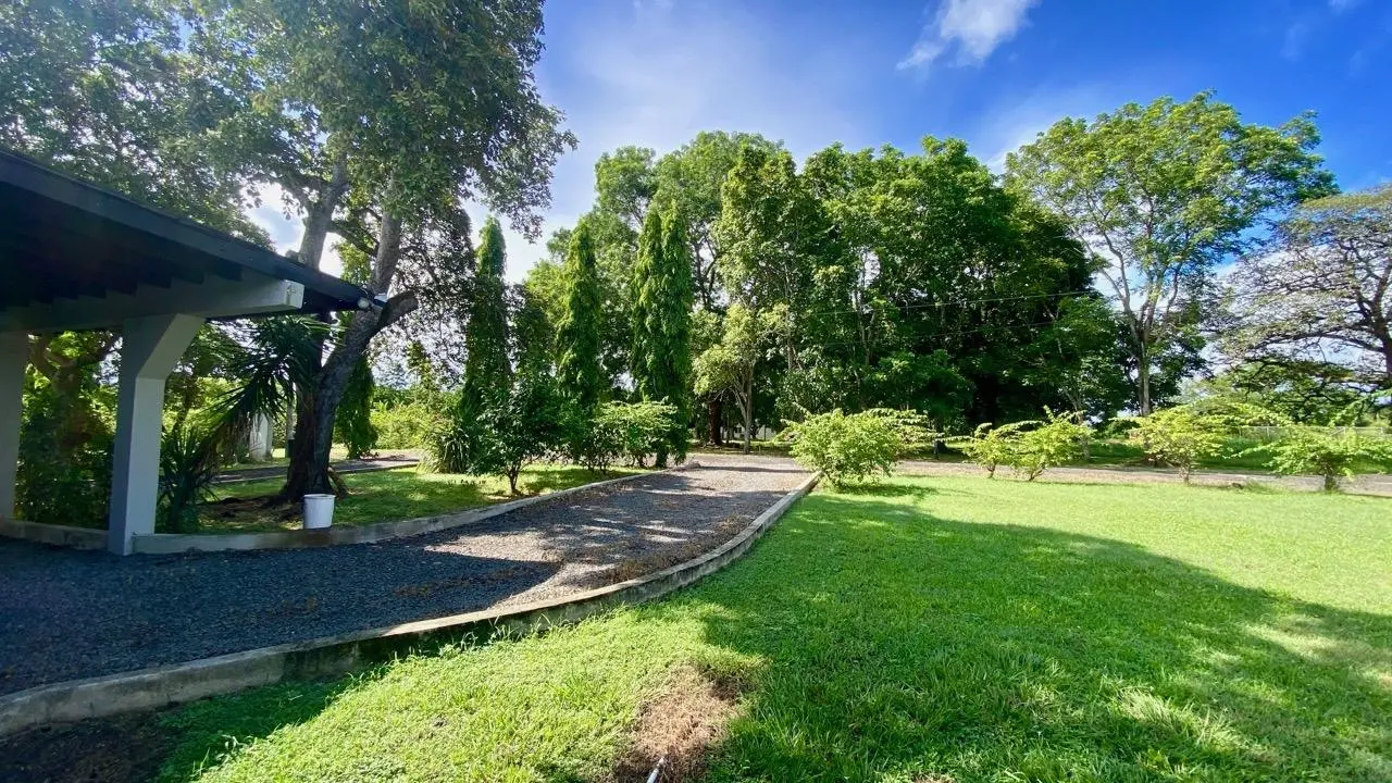 Calle 3 Oeste ##16 - Photo 18