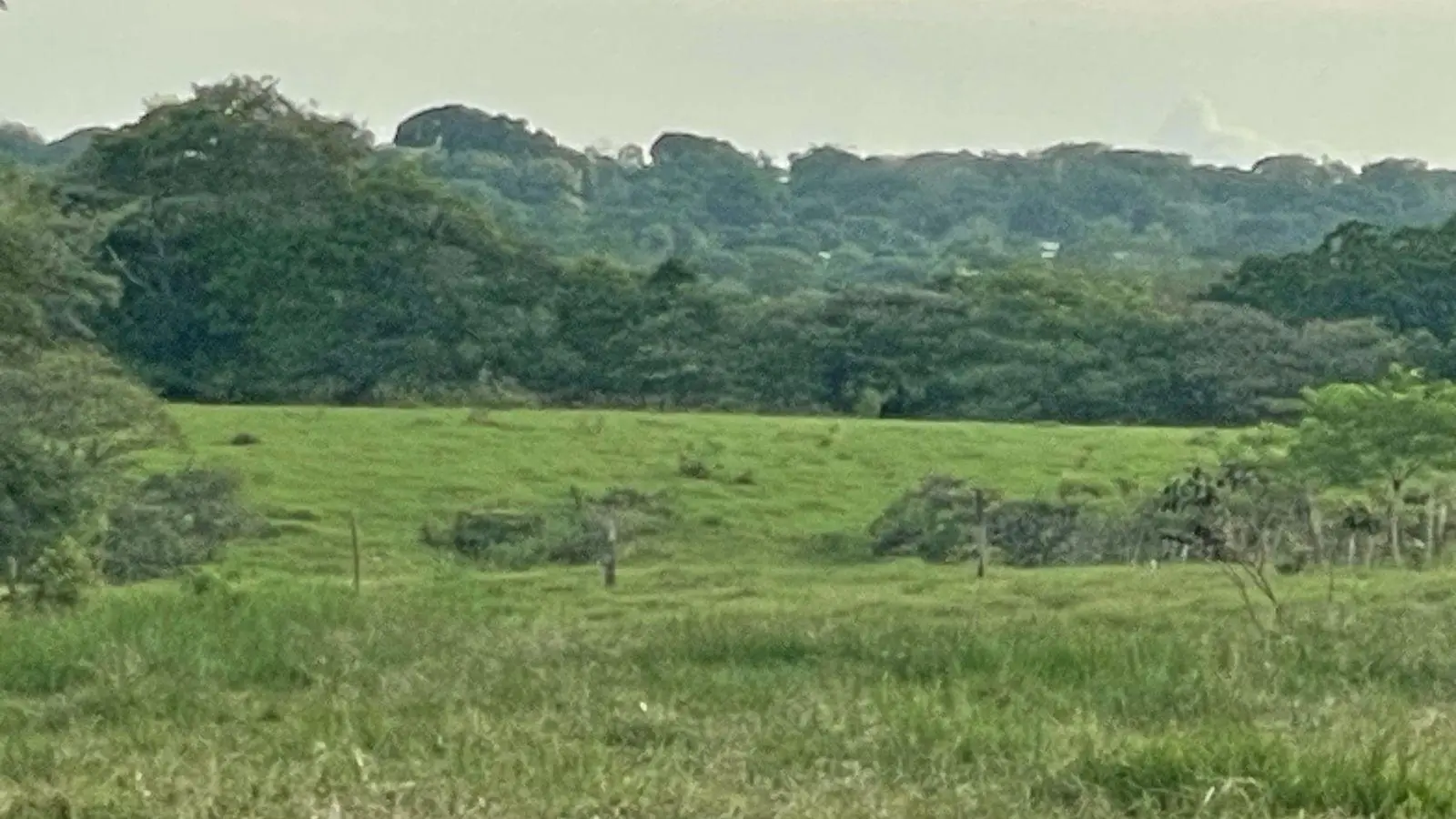 David, Montilla - Photo 24