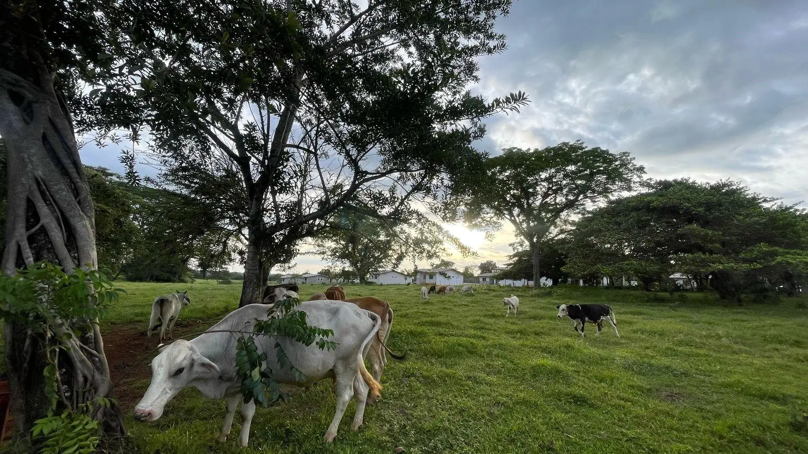 David, Montilla - Photo 16