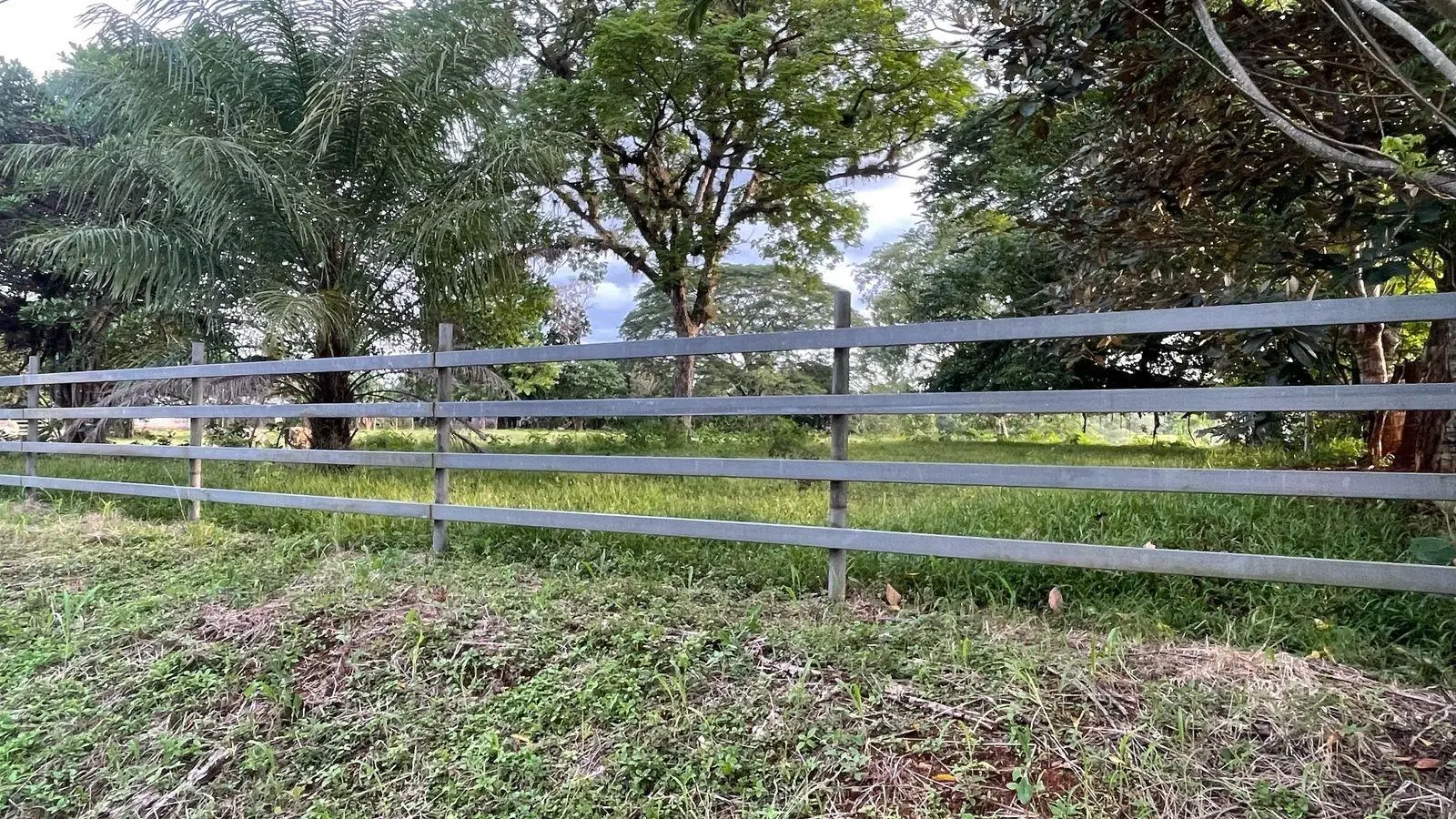 David, Montilla - Photo 36