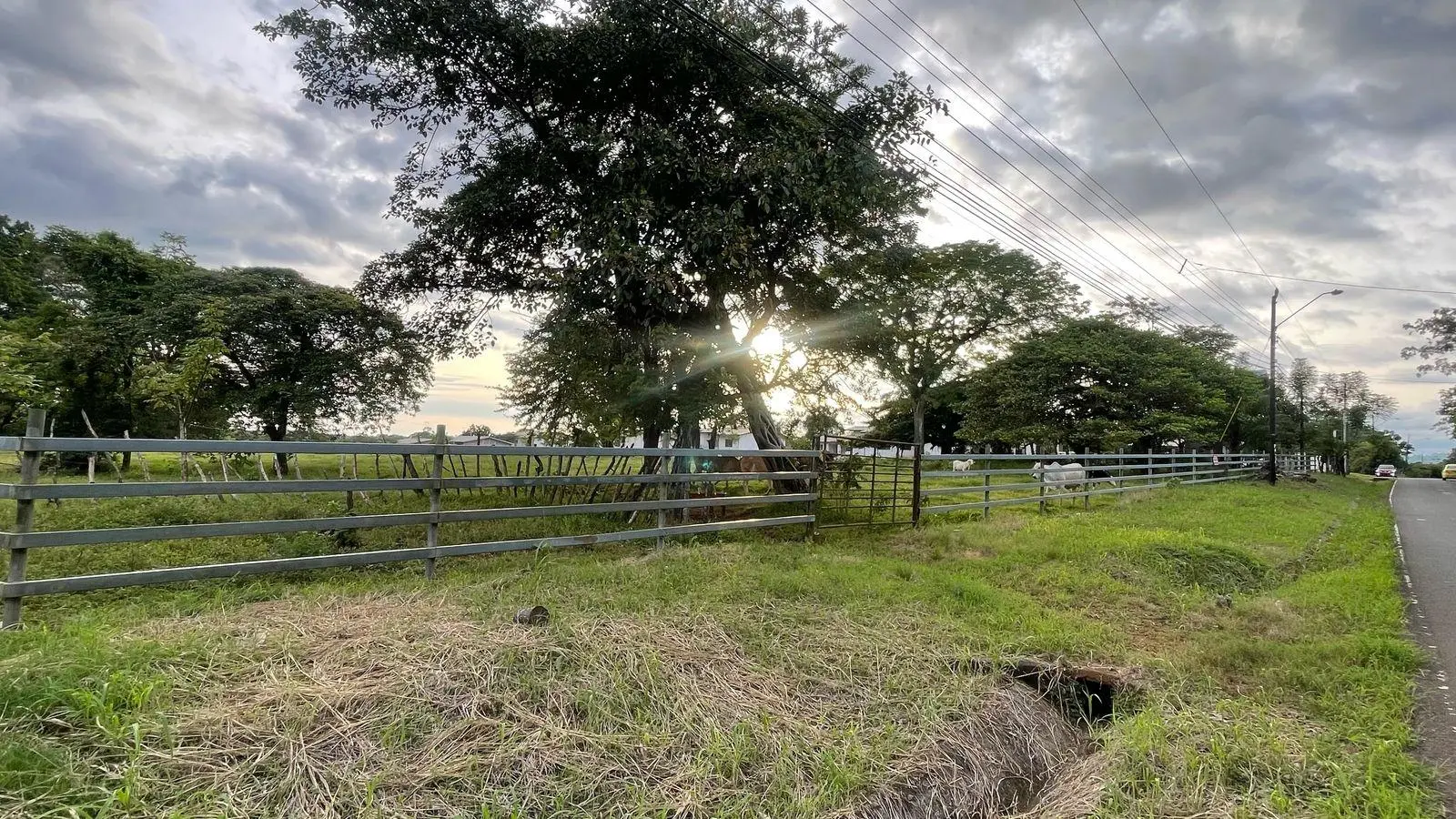 David, Montilla - Photo 19