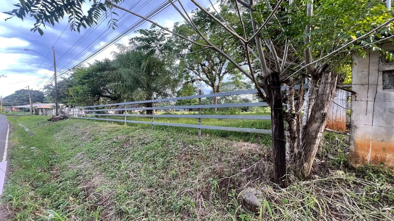 David, Montilla - Photo 27