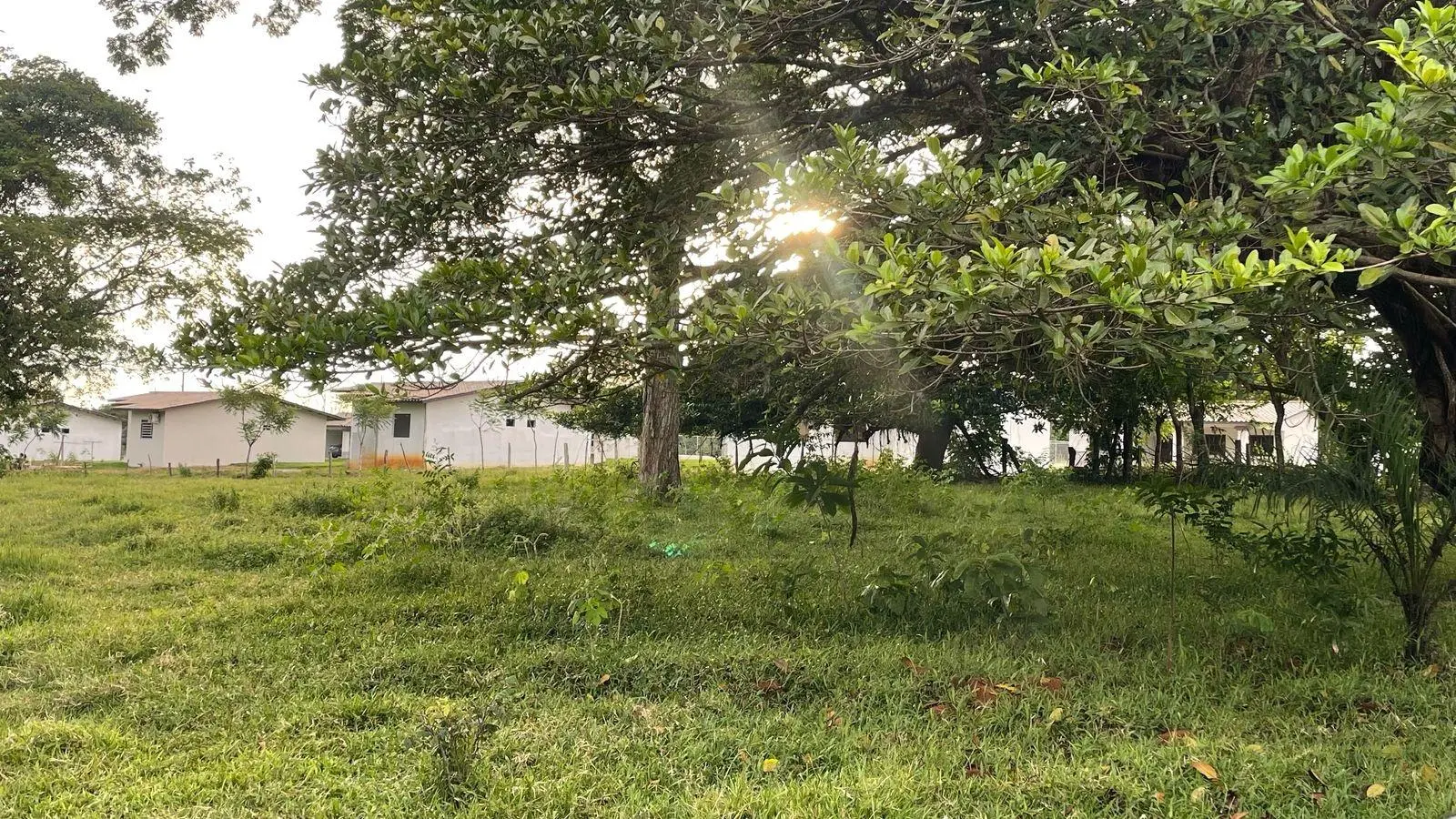 David, Montilla - Photo 14