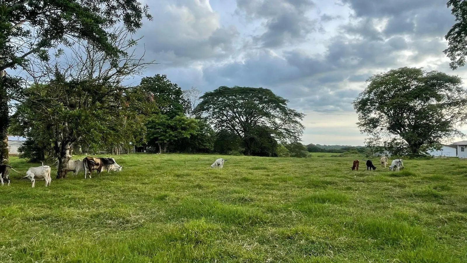 David, Montilla - Photo 9