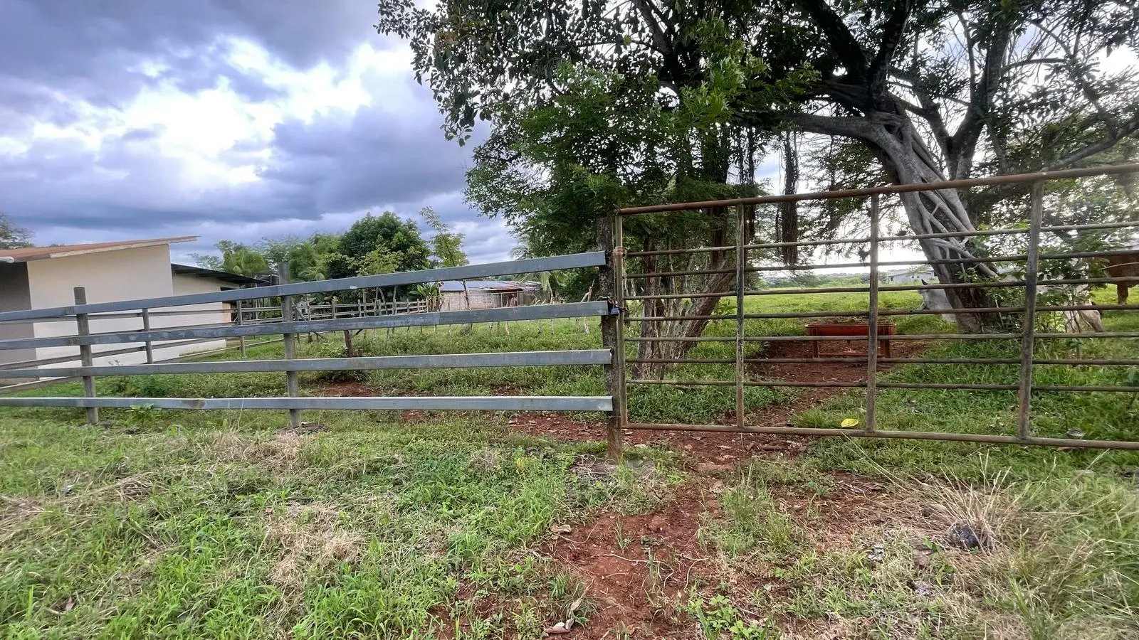 David, Montilla - Photo 32