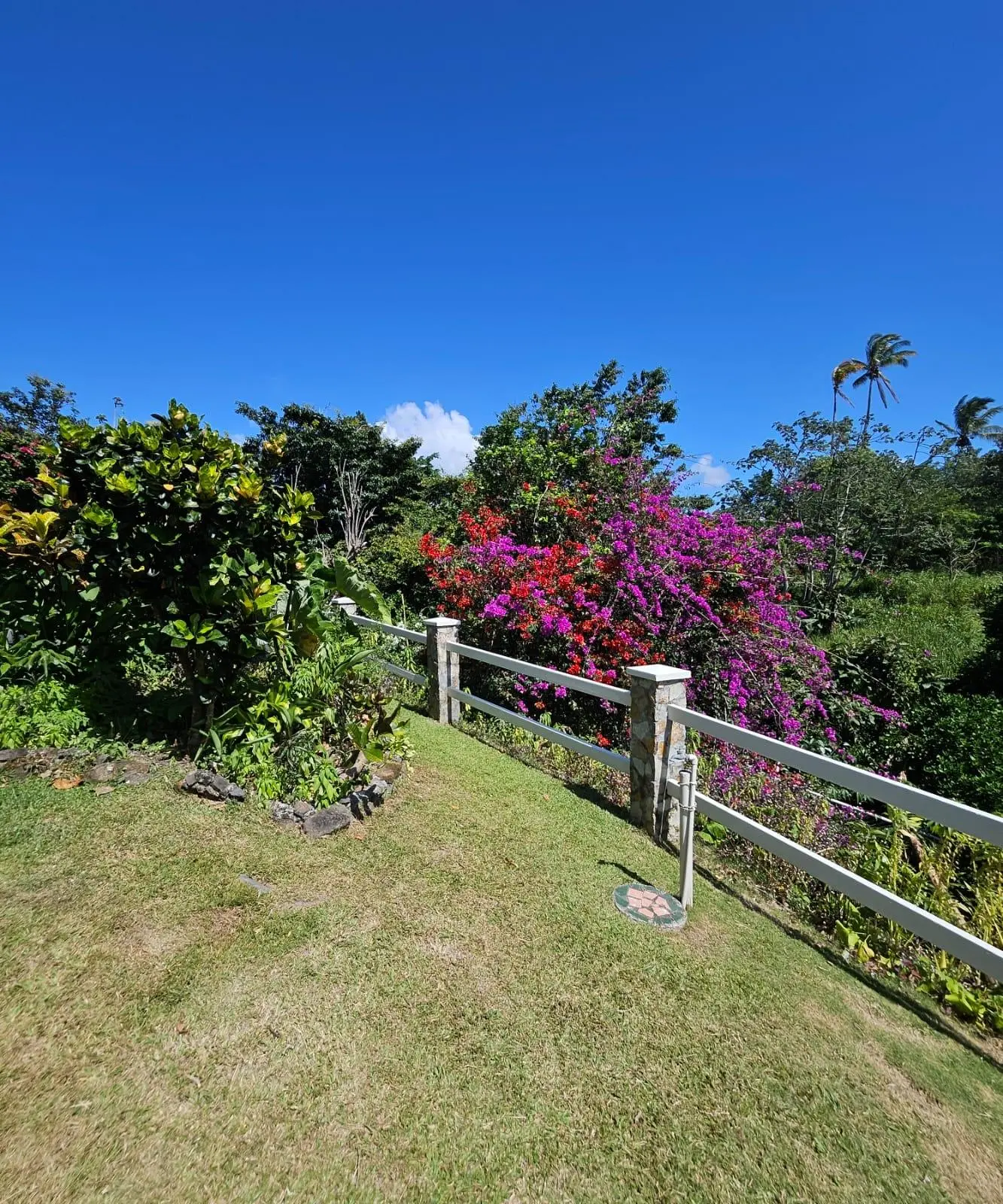 Laguna De San Carlos #casa - Photo 54