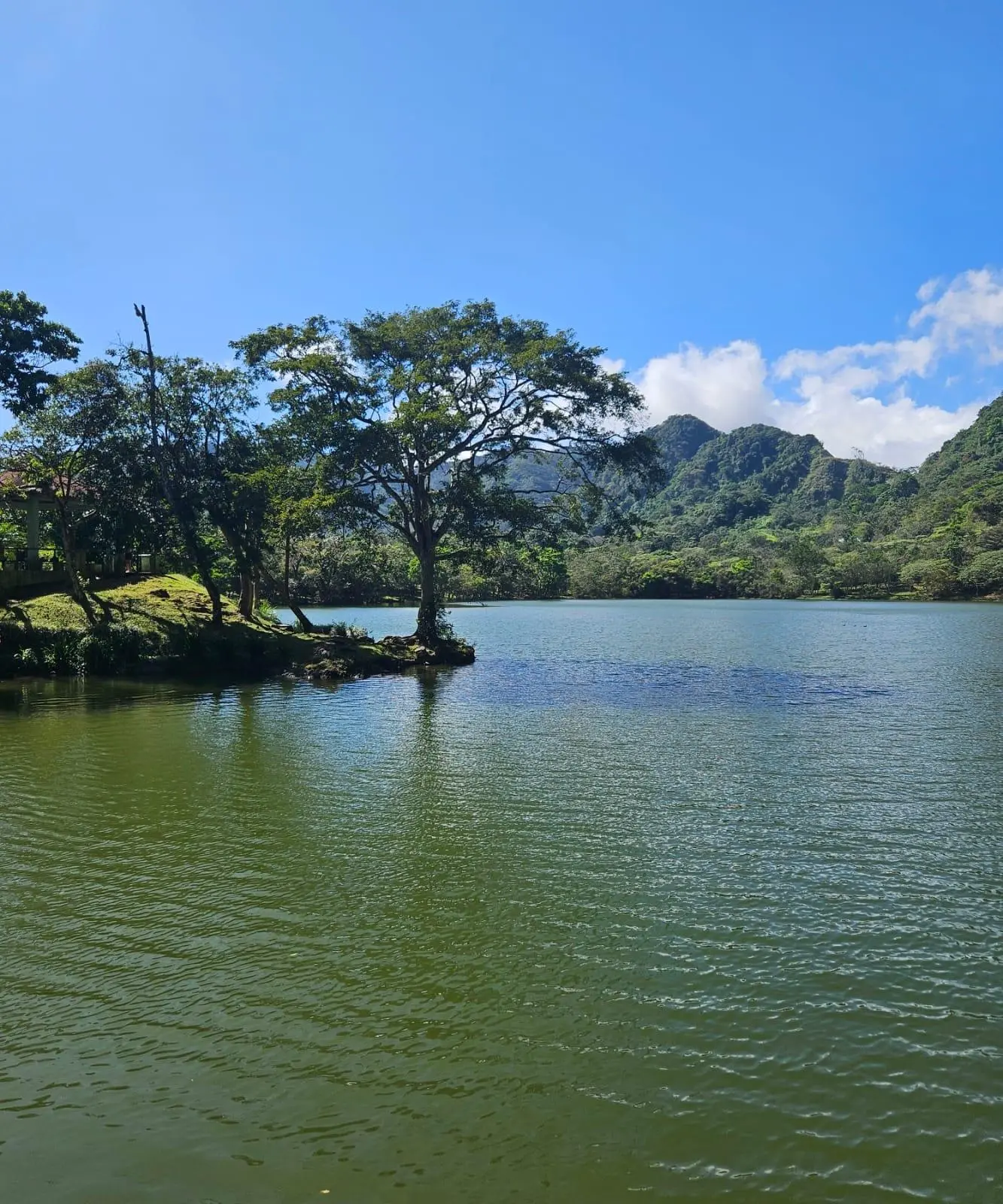 Laguna De San Carlos #casa - Photo 74