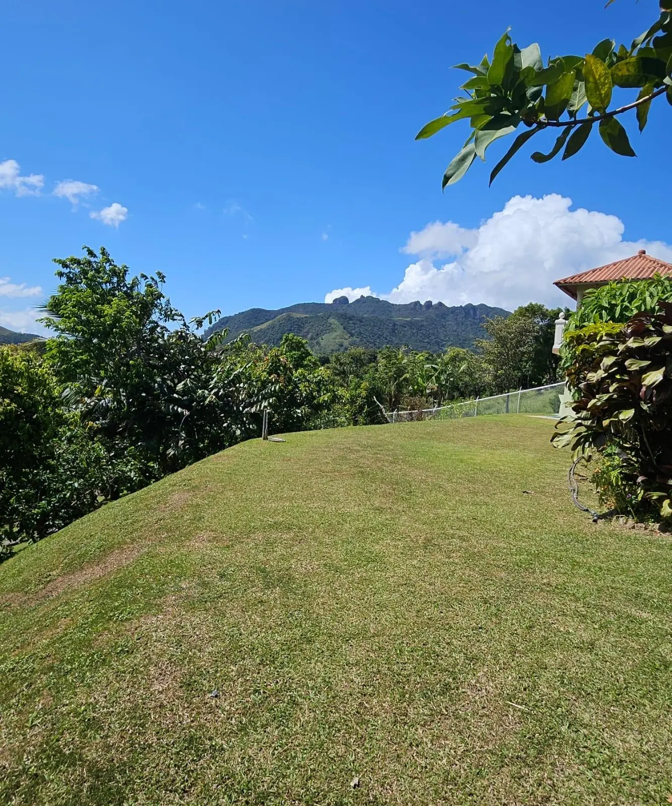 Laguna De San Carlos #casa - Photo 59