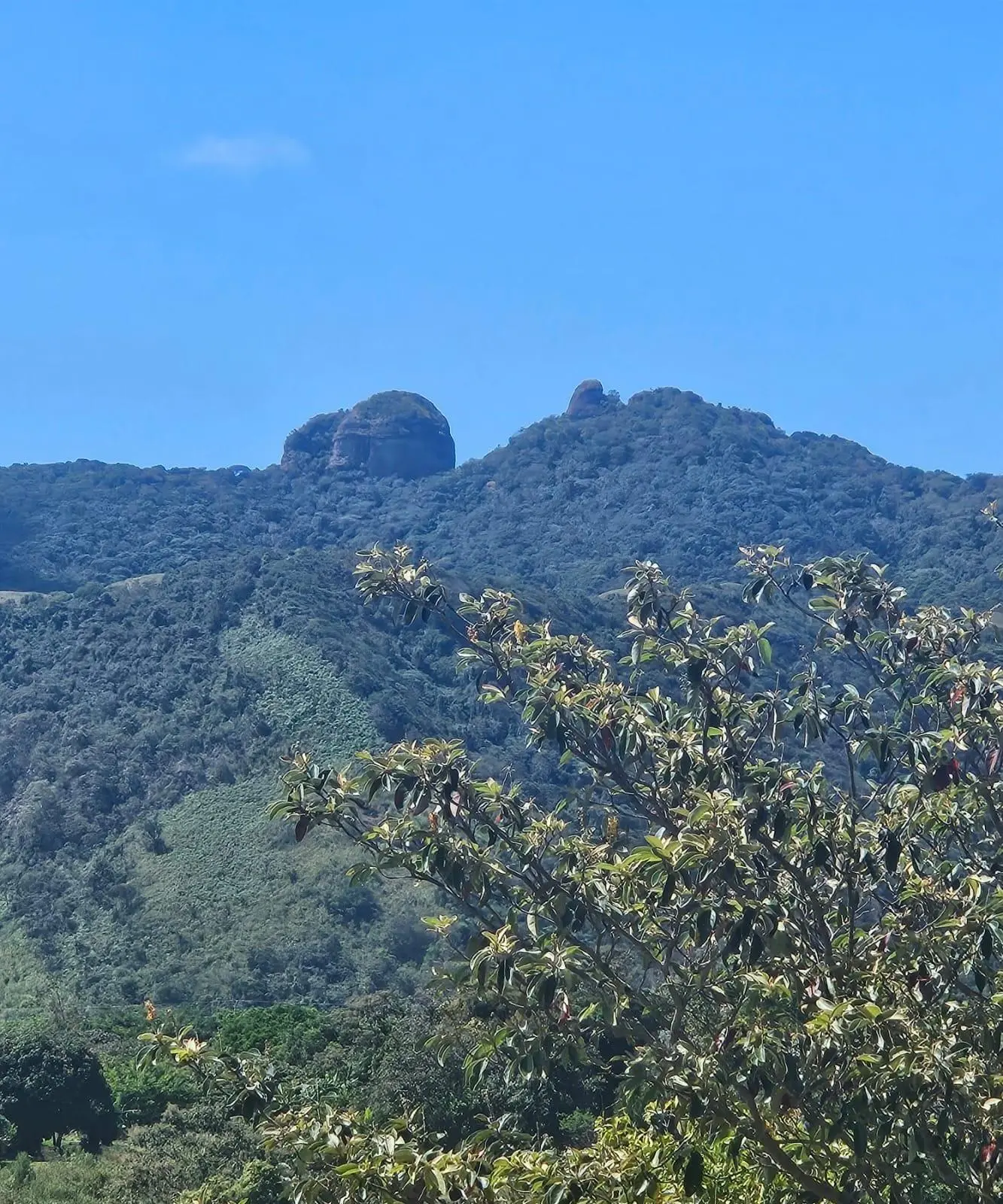 Laguna De San Carlos #casa - Photo 66