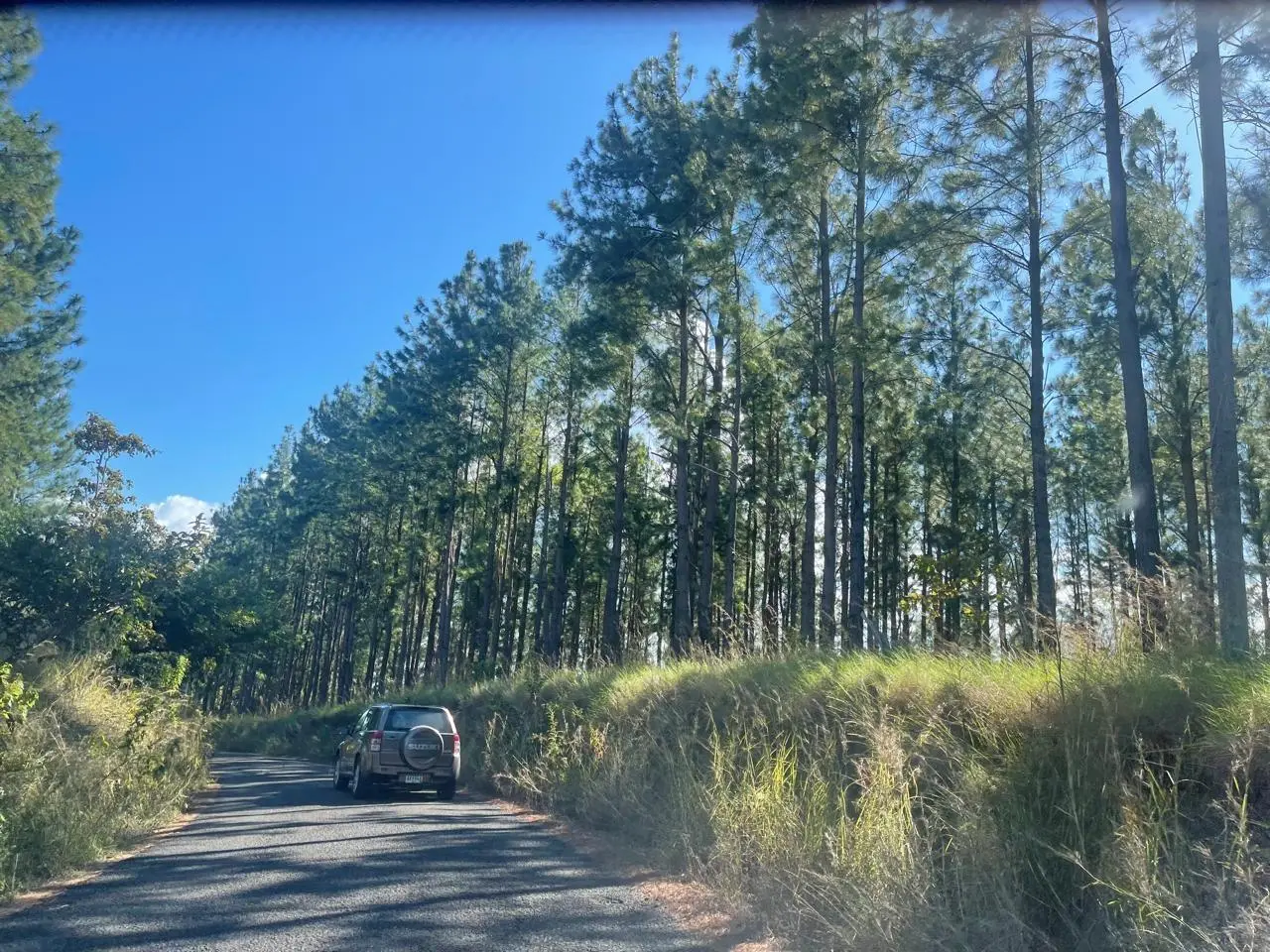 Laguna De San Carlos #casa - Photo 71