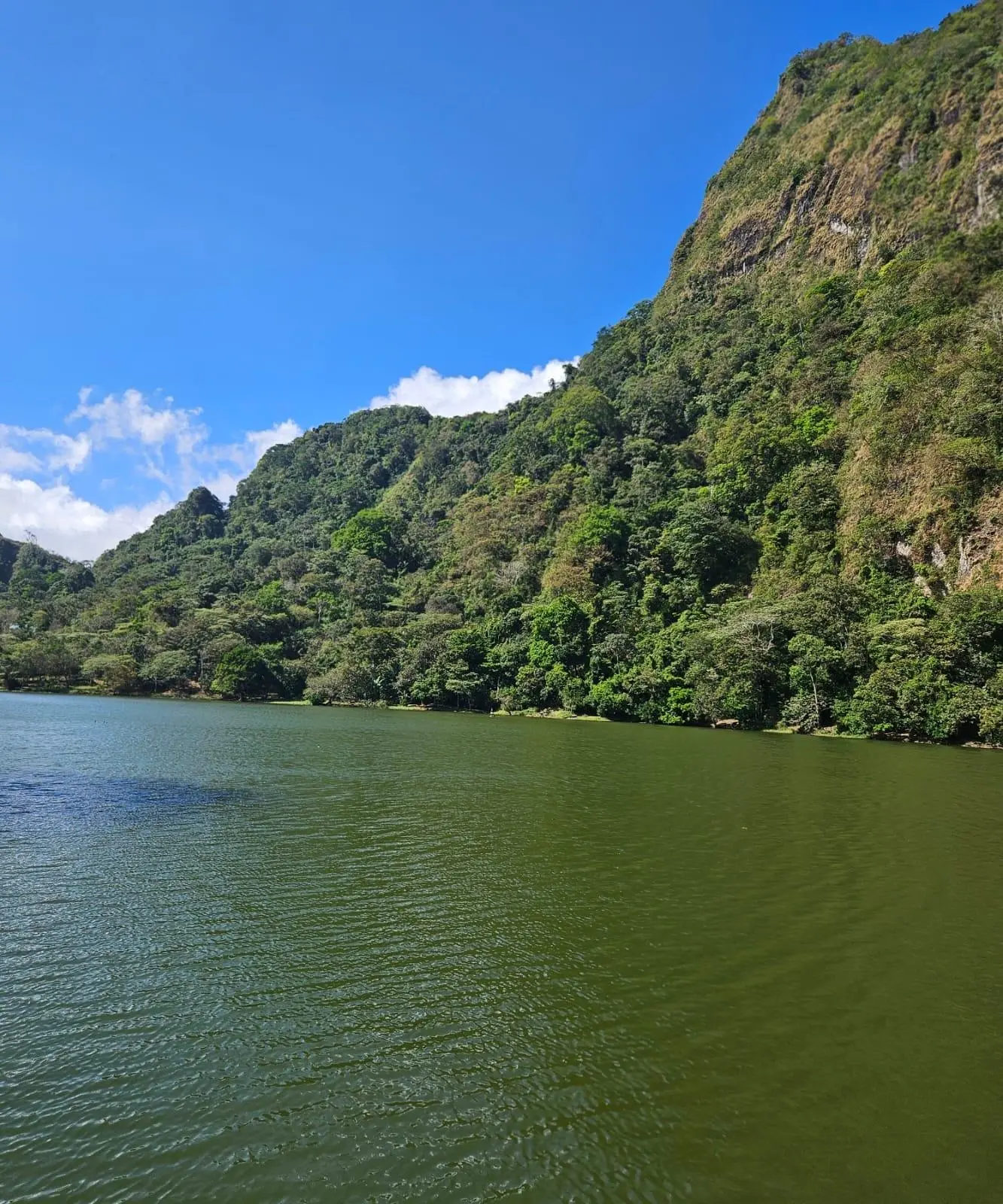 Laguna De San Carlos #casa - Photo 67