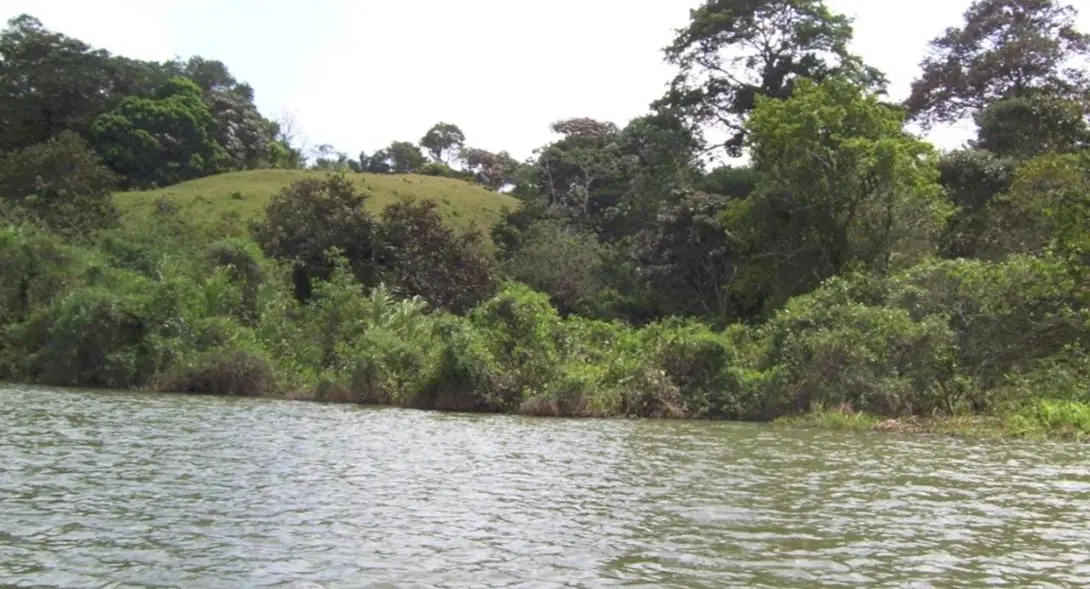 Lago Gatún - Photo 14