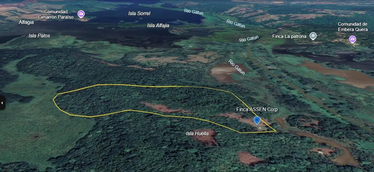 Lago Gatún - Photo 7